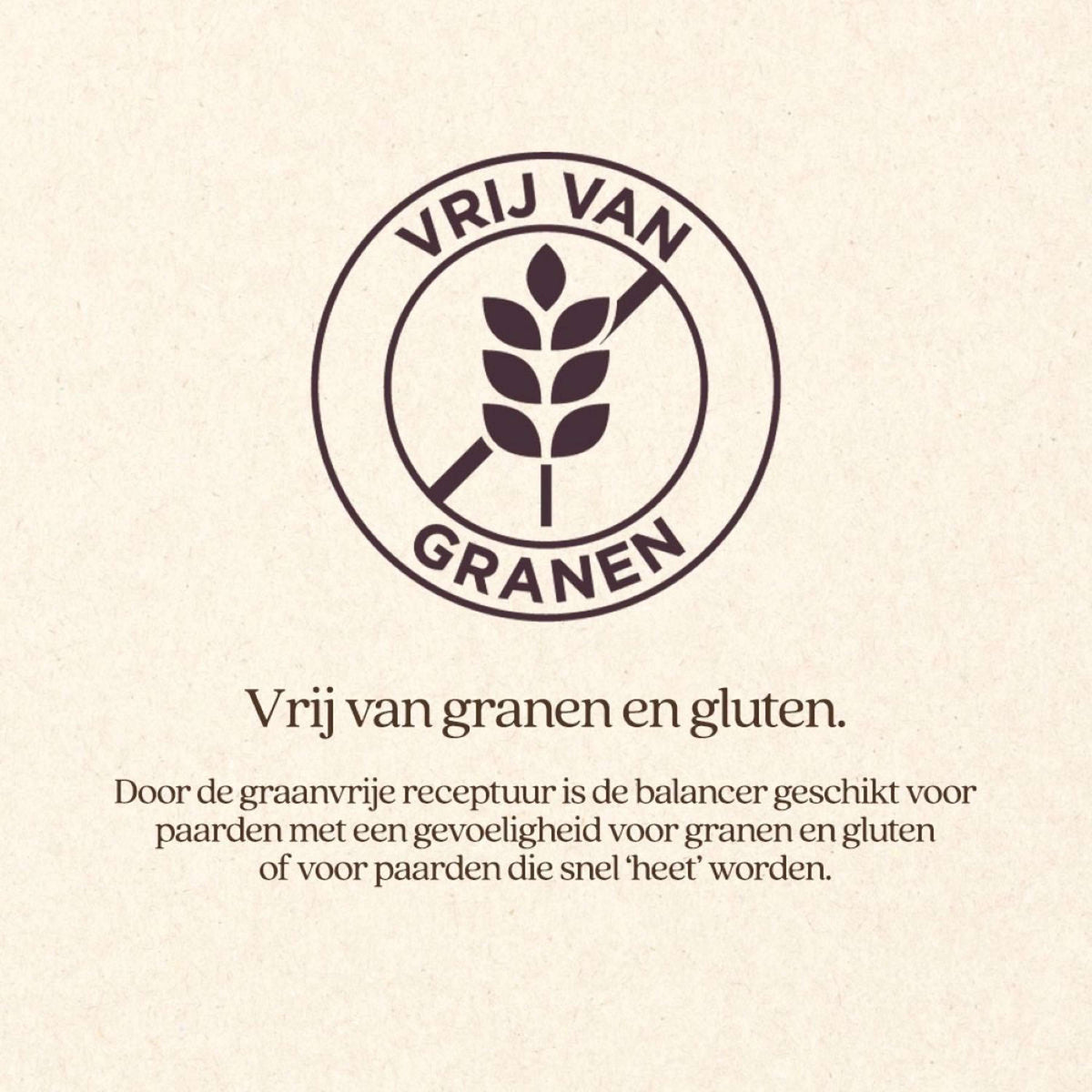 Vitalstyle DailyFit Balancer