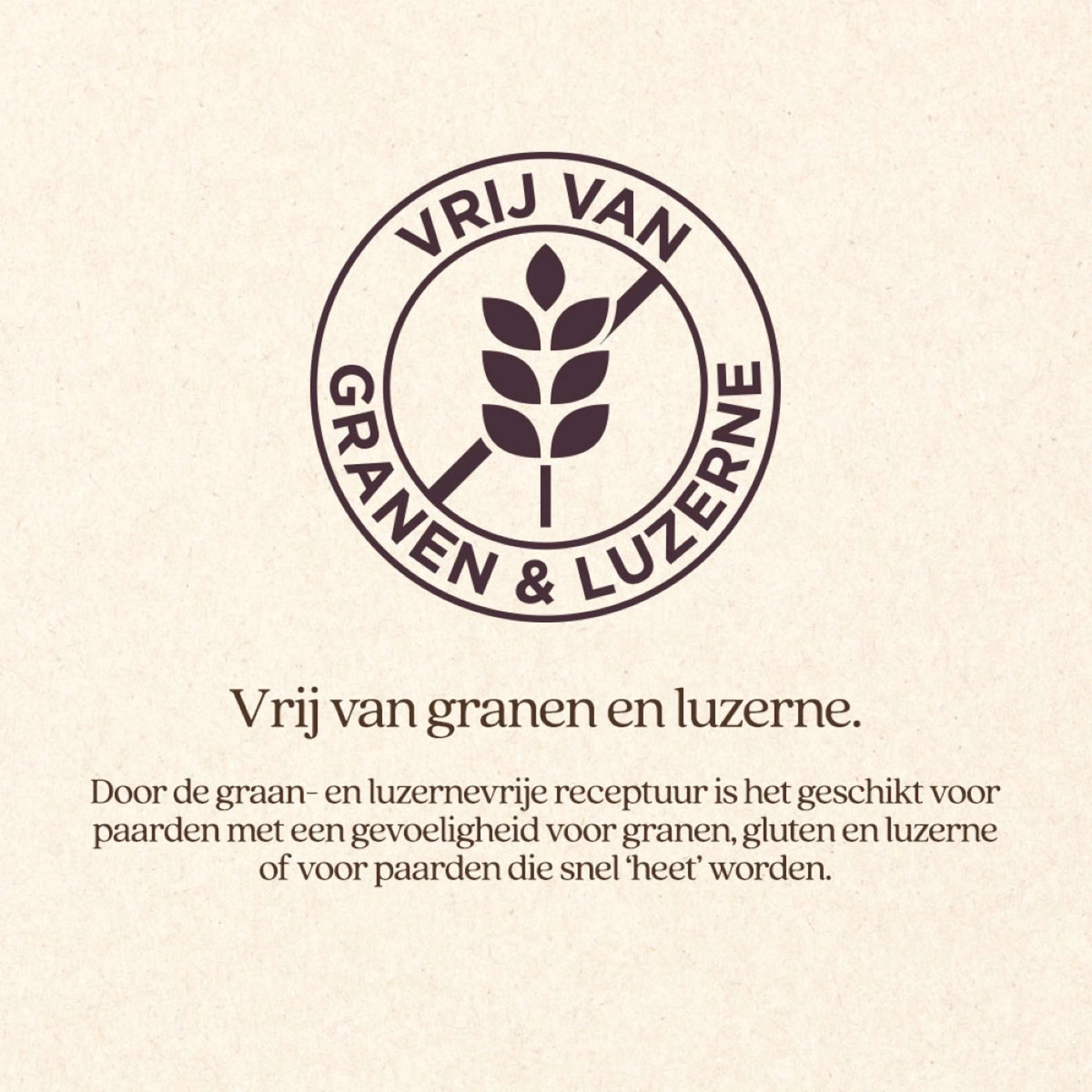 Vitalstyle SluesliMix