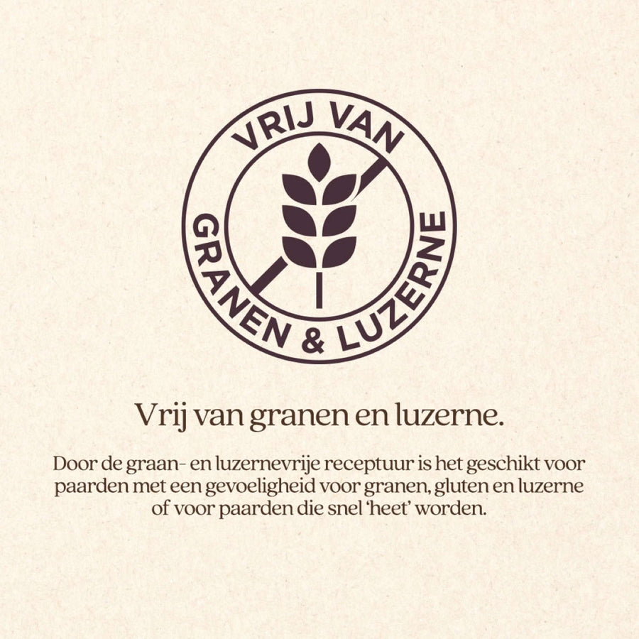Vitalstyle SluesliMix