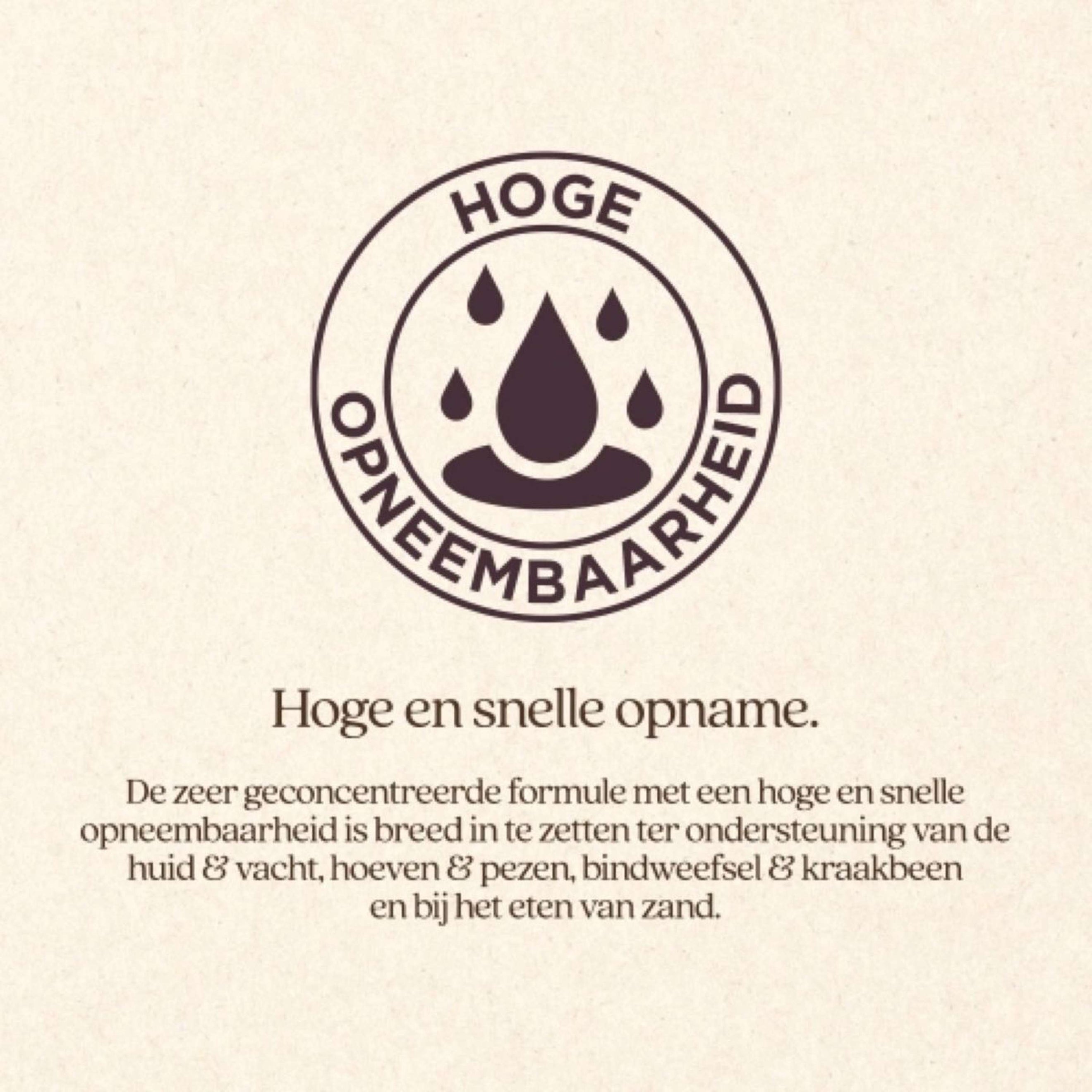 Vitalstyle Silicium+