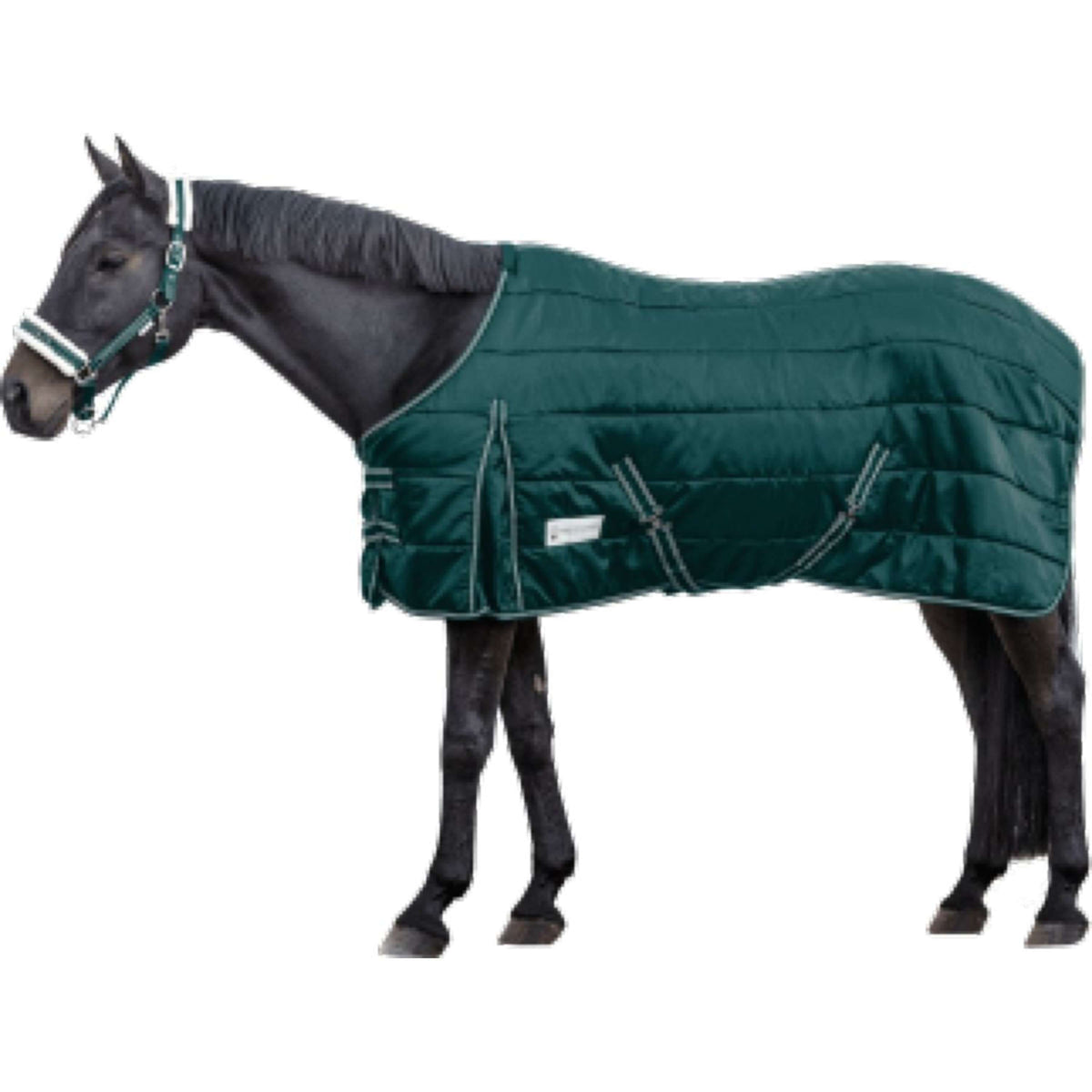 Waldhausen Stable Rug Economic 300g Fir green