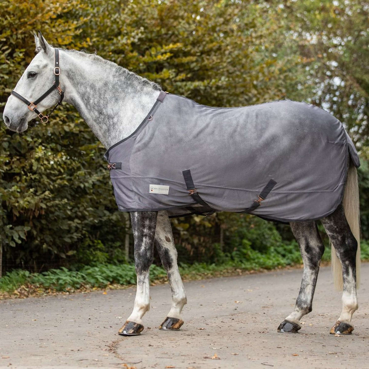 Waldhausen Fly Rug Comfort with Cross Surcingles Grey