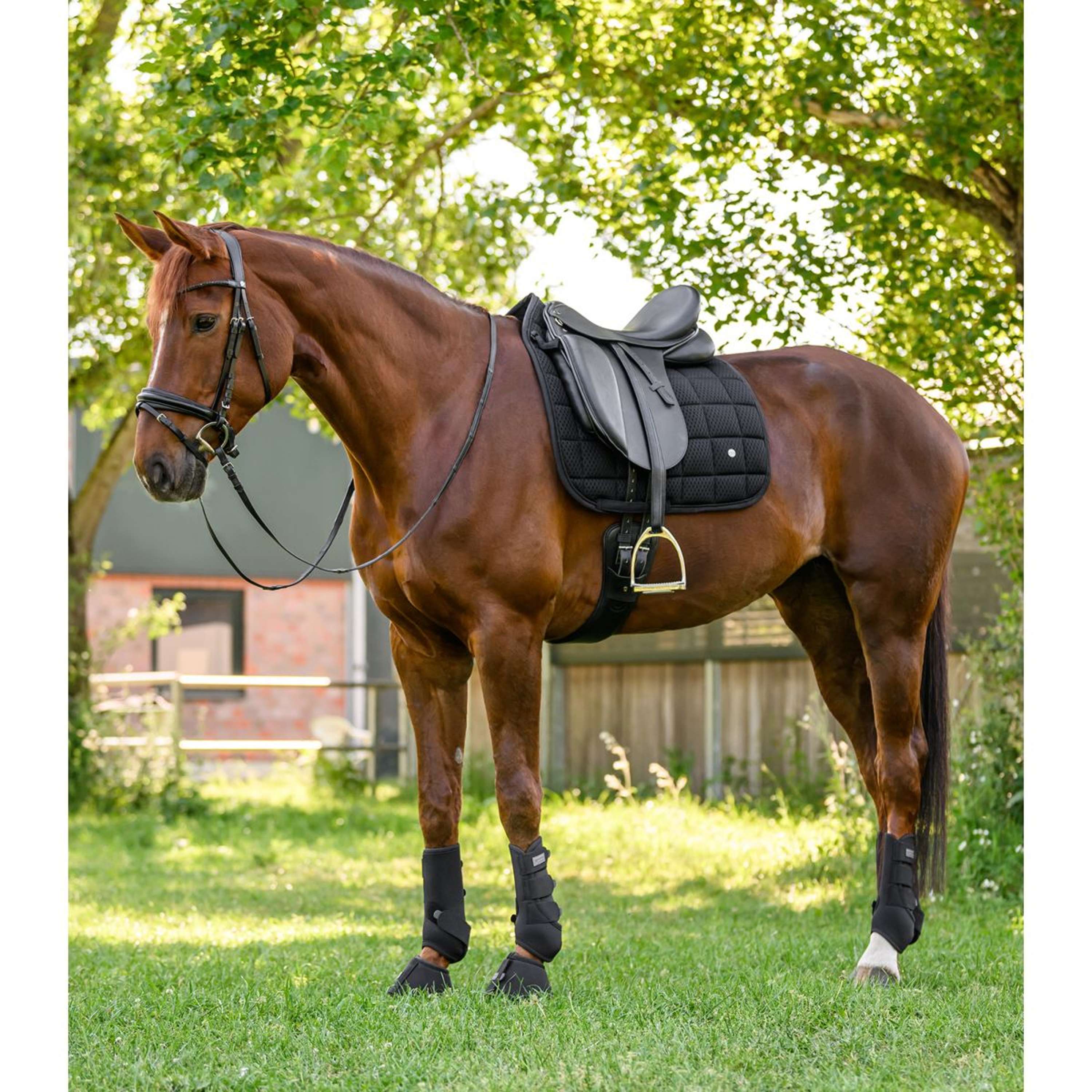 Waldhausen Saddlepad Breath Performance Dressage Black