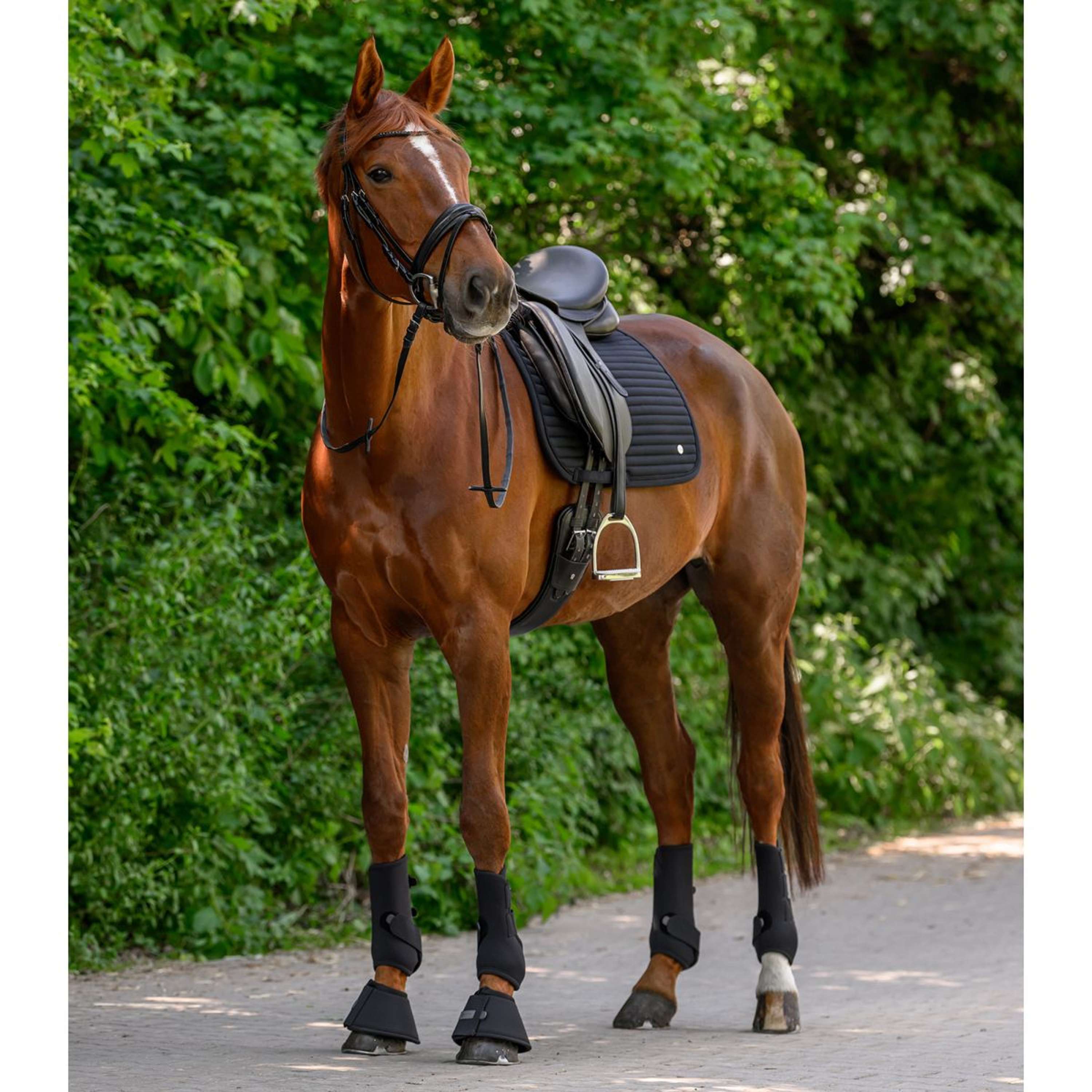 Waldhausen Saddlepad Trinidad Dressage Black