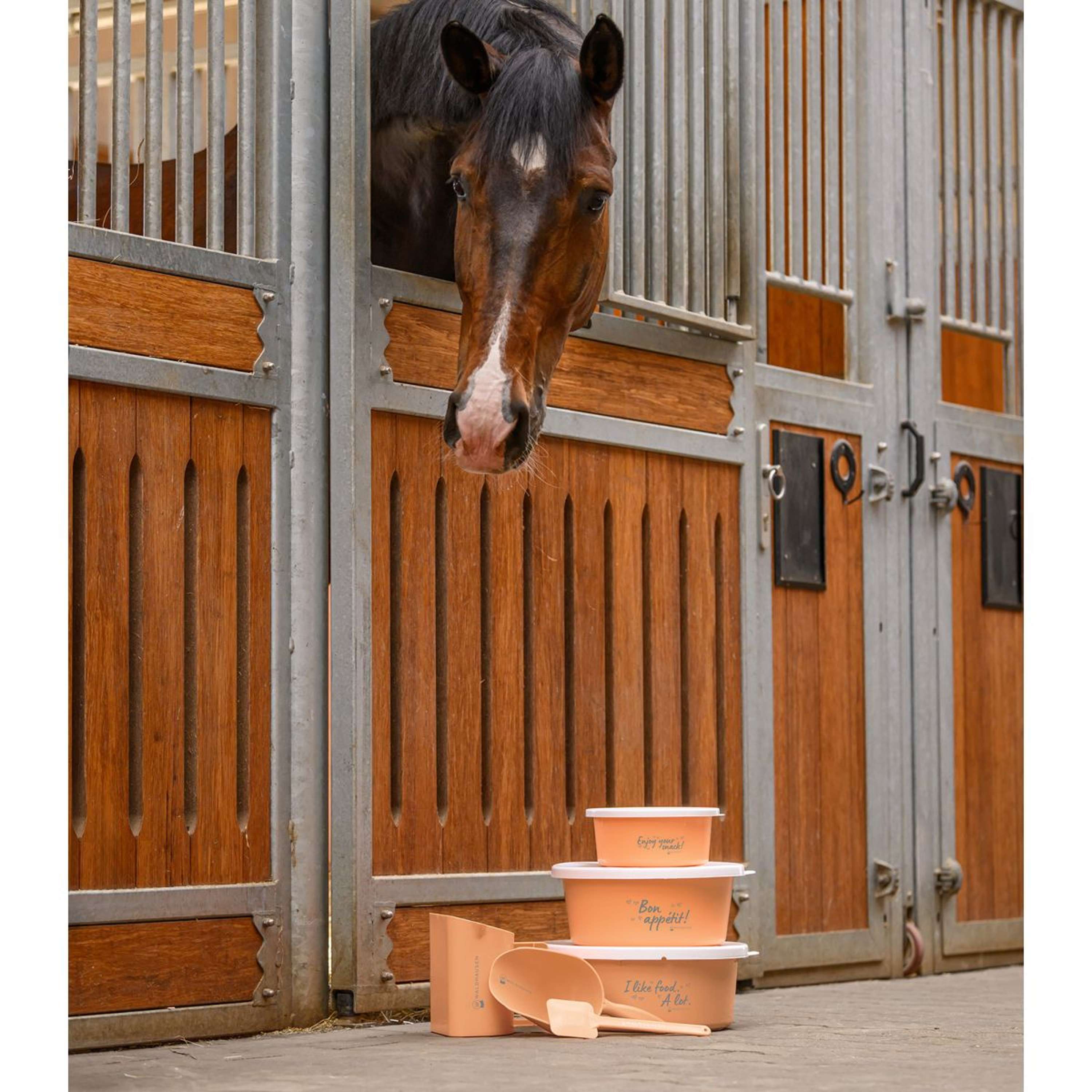 Waldhausen Food Bowl I like food. A lot Peach