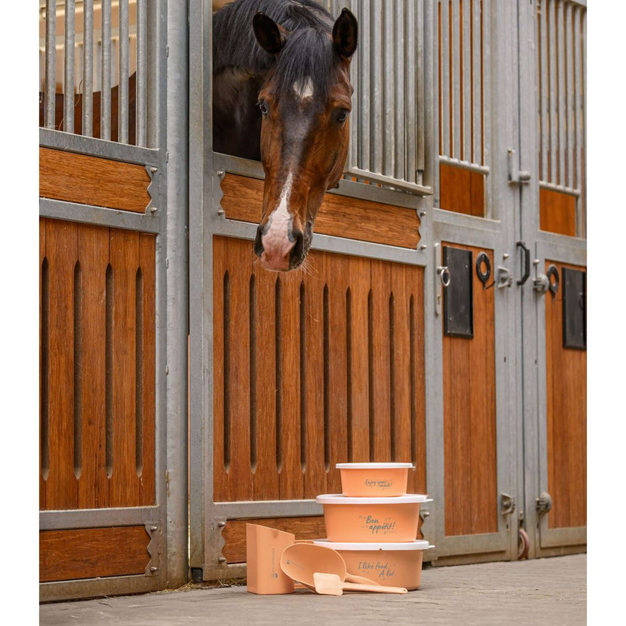 Waldhausen Food Bowl I like food. A lot Peach