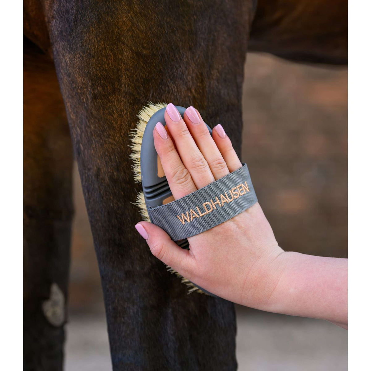 Waldhausen Hard Brush Flex Peach/Chrome Grey