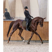 Waldhausen Leg Protectors Comfort Fit Green/Brown