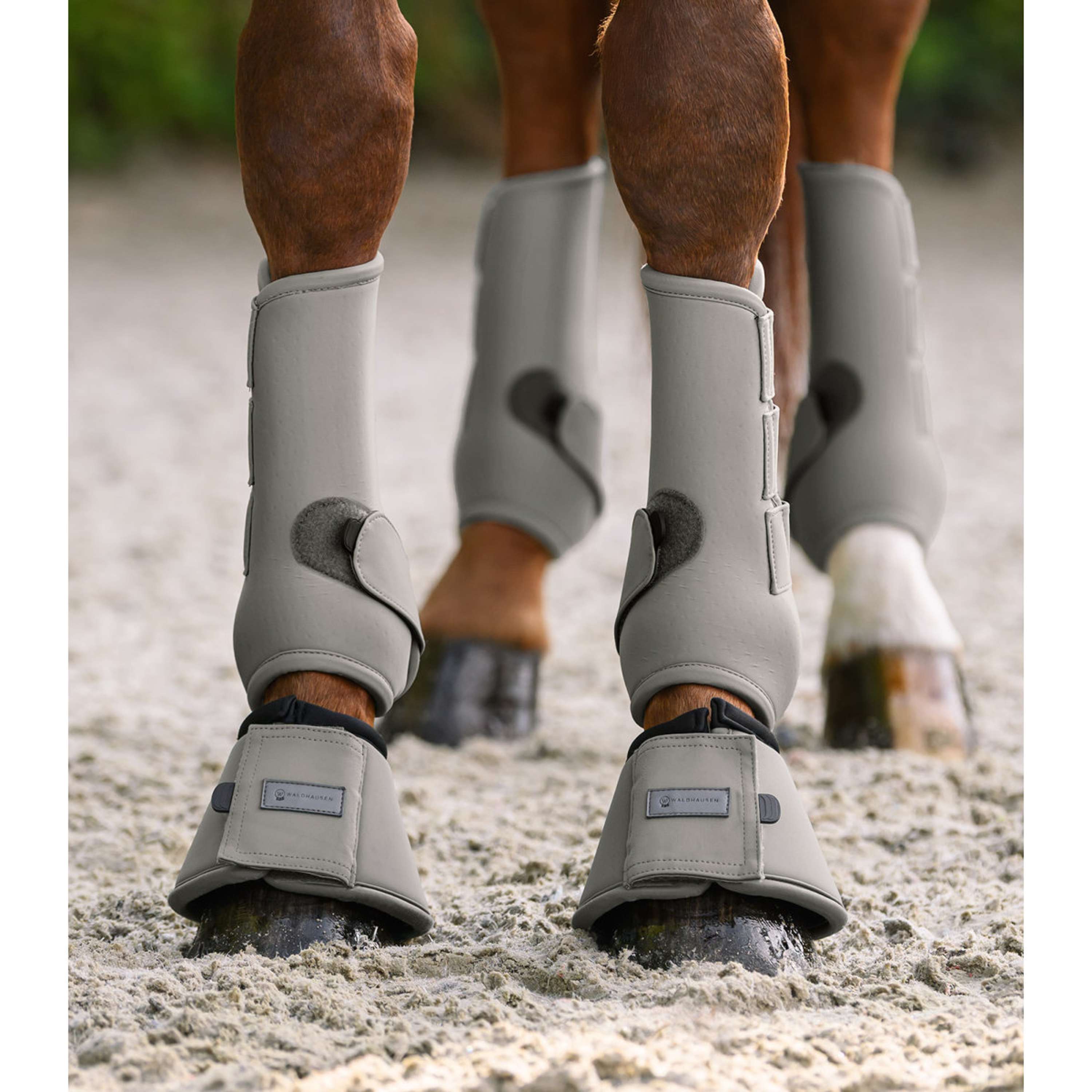 Waldhausen Bell Boots Performance Sage