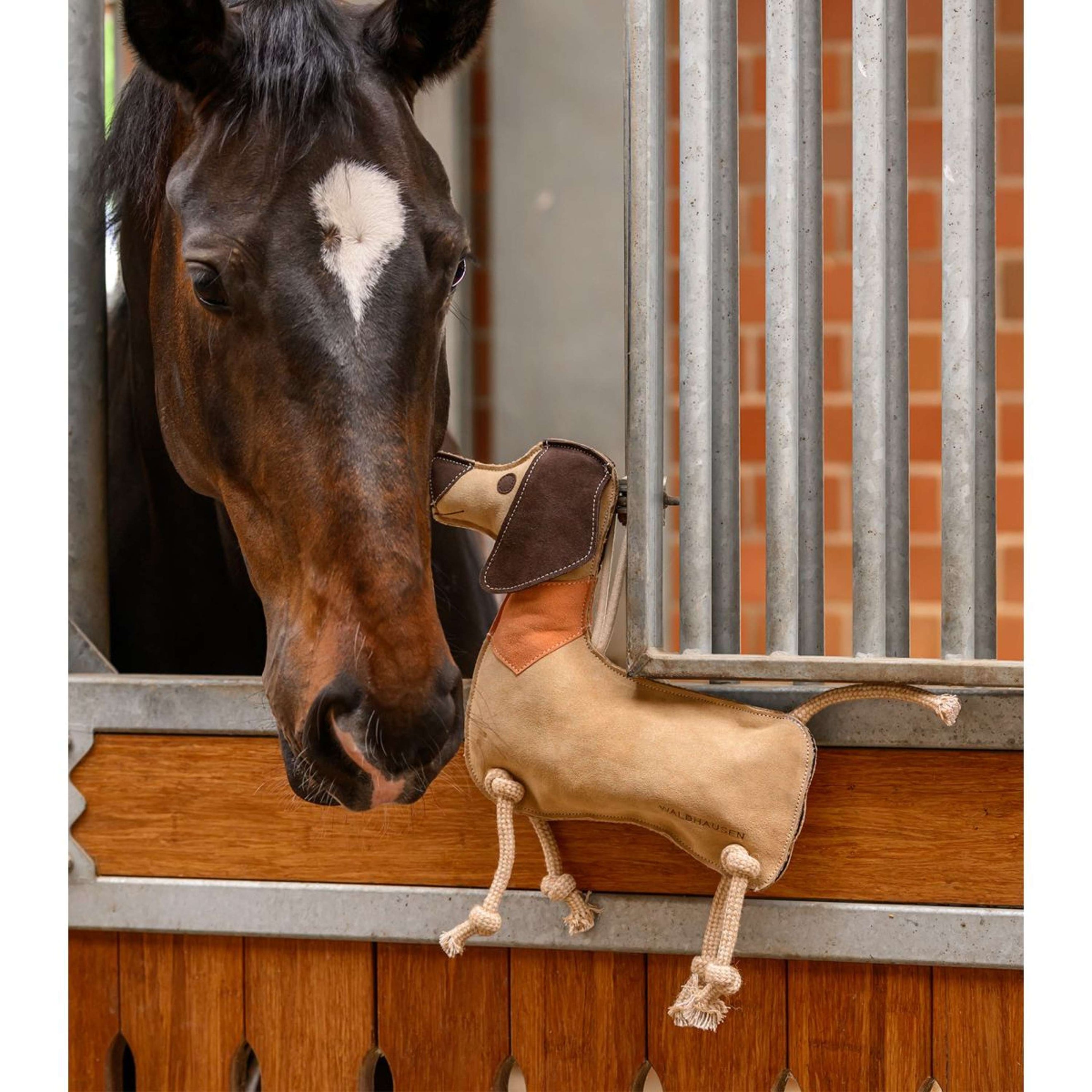 Waldhausen Toys Dachshund Dieter