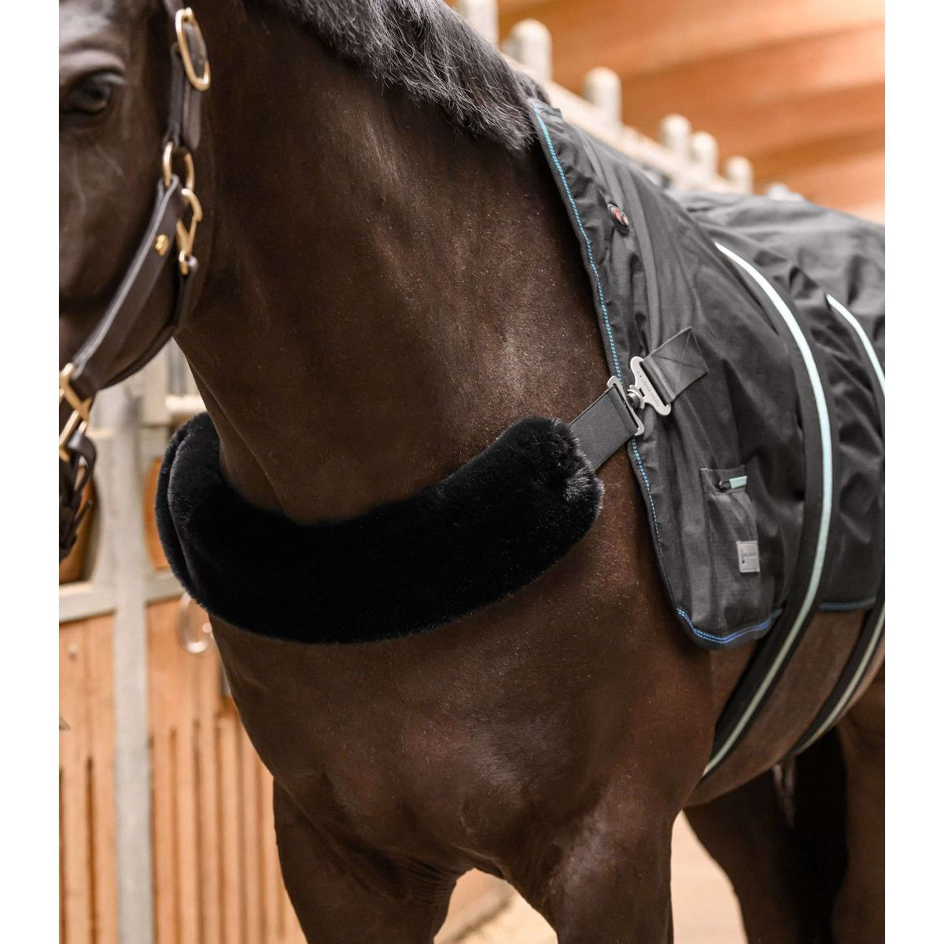 Waldhausen Heating and Massage Blanket TecSupreme Black