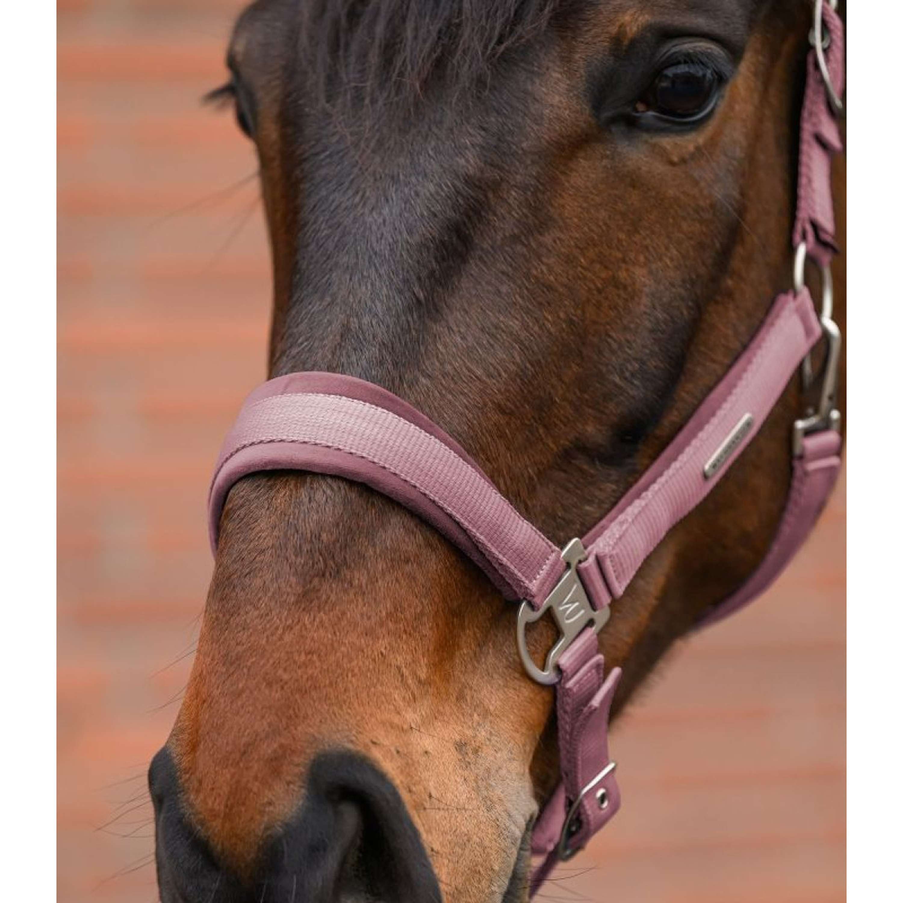 Waldhausen Halter Set Velvet Dusky Pink