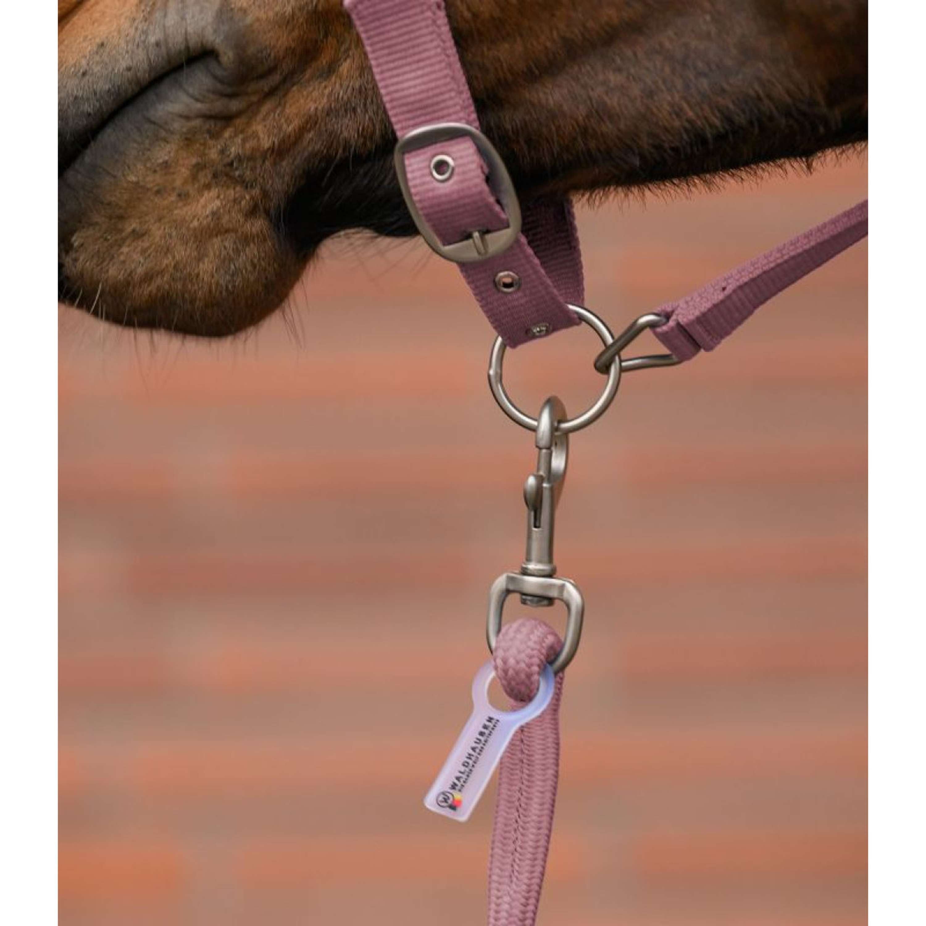 Waldhausen Halter Set Velvet Dusky Pink