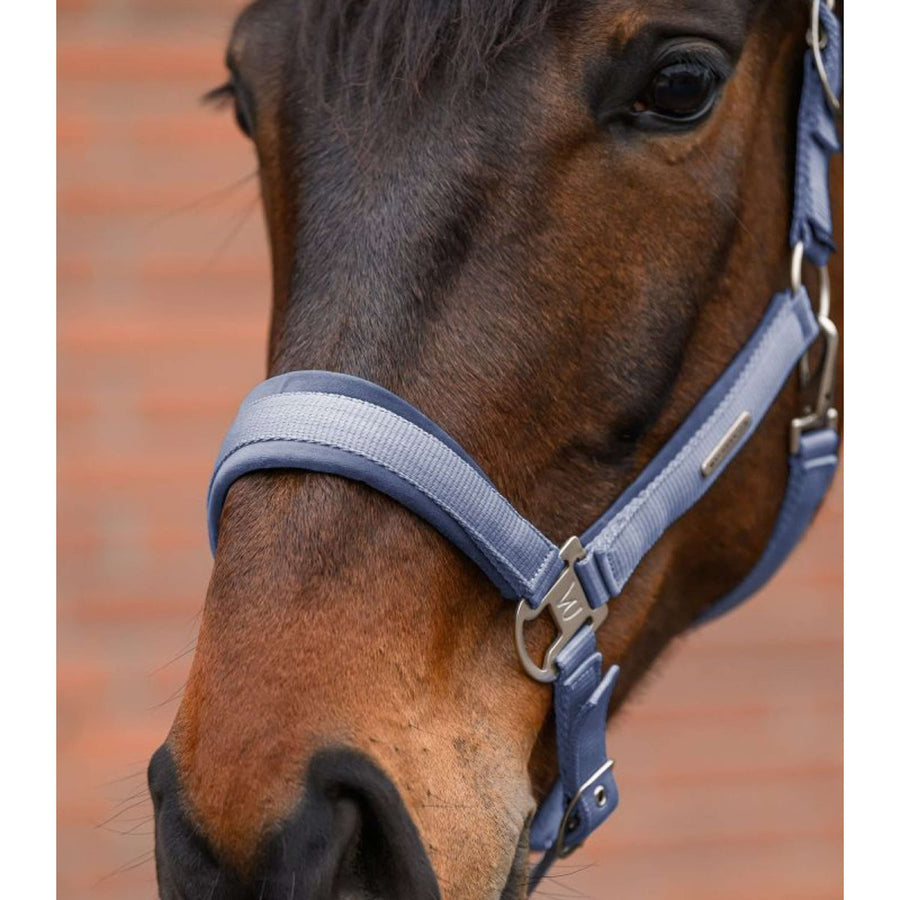 Waldhausen Head Collar Set Velvet Ocean Blue