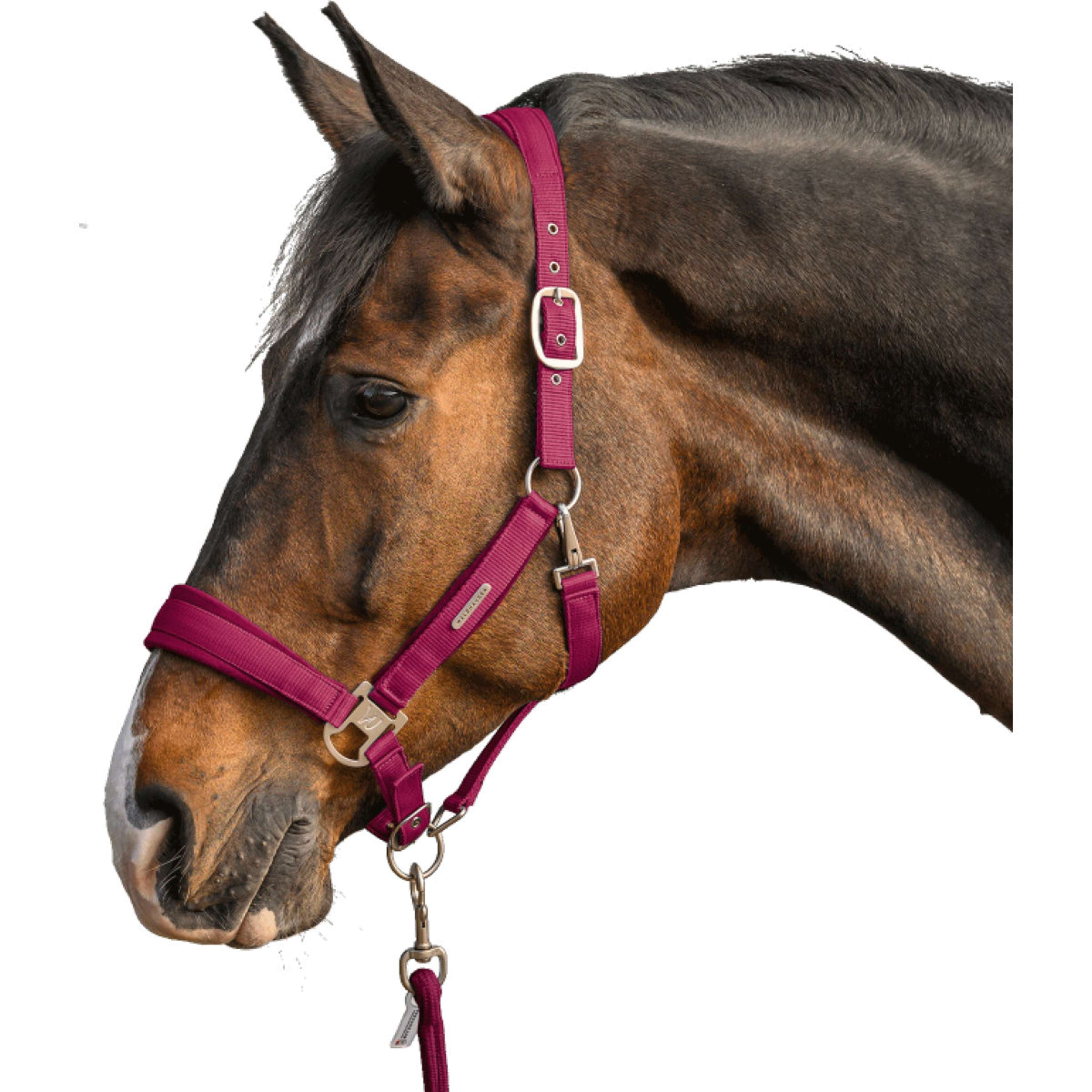 Waldhausen Halter Set Velvet Pomegranate