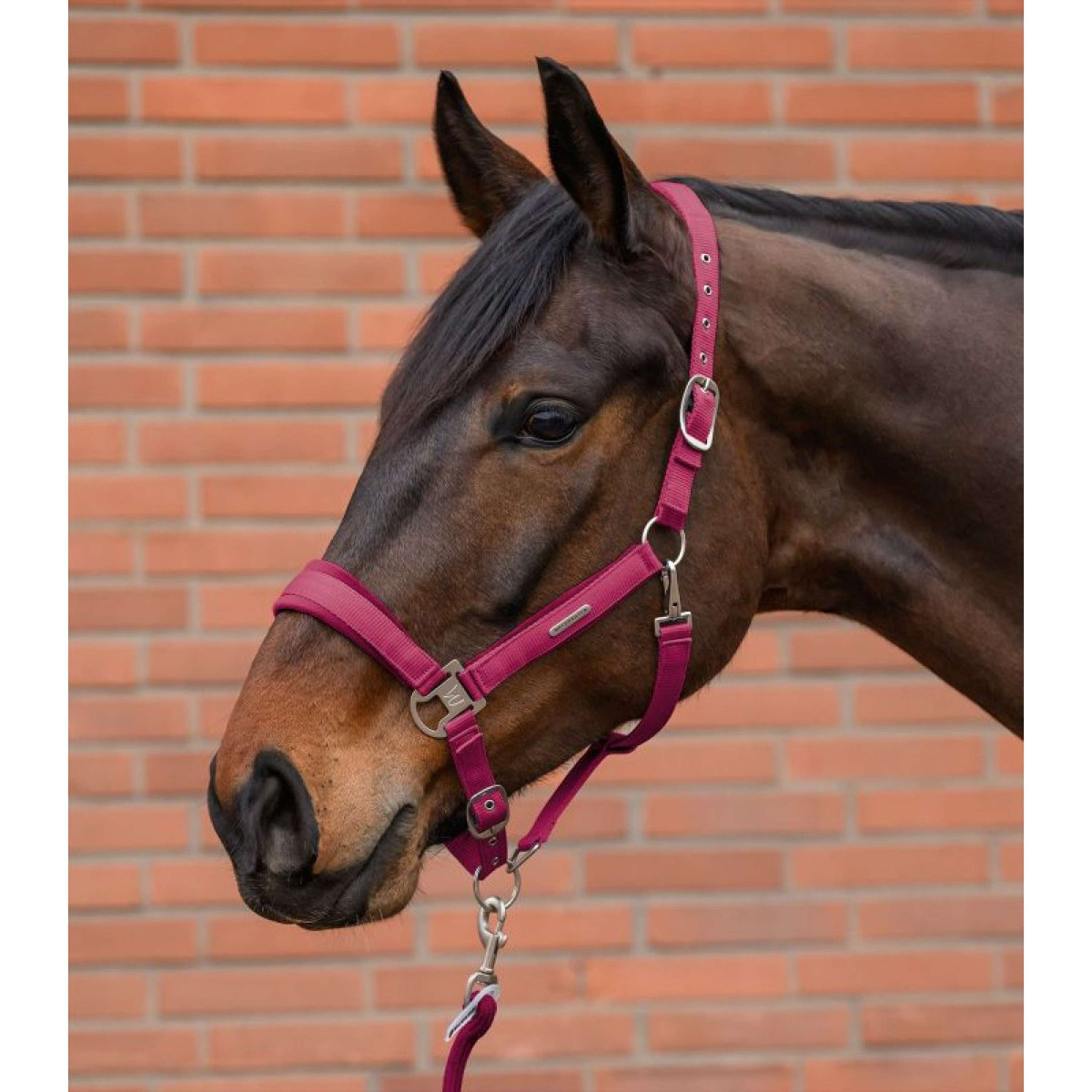 Waldhausen Halter Set Velvet Pomegranate
