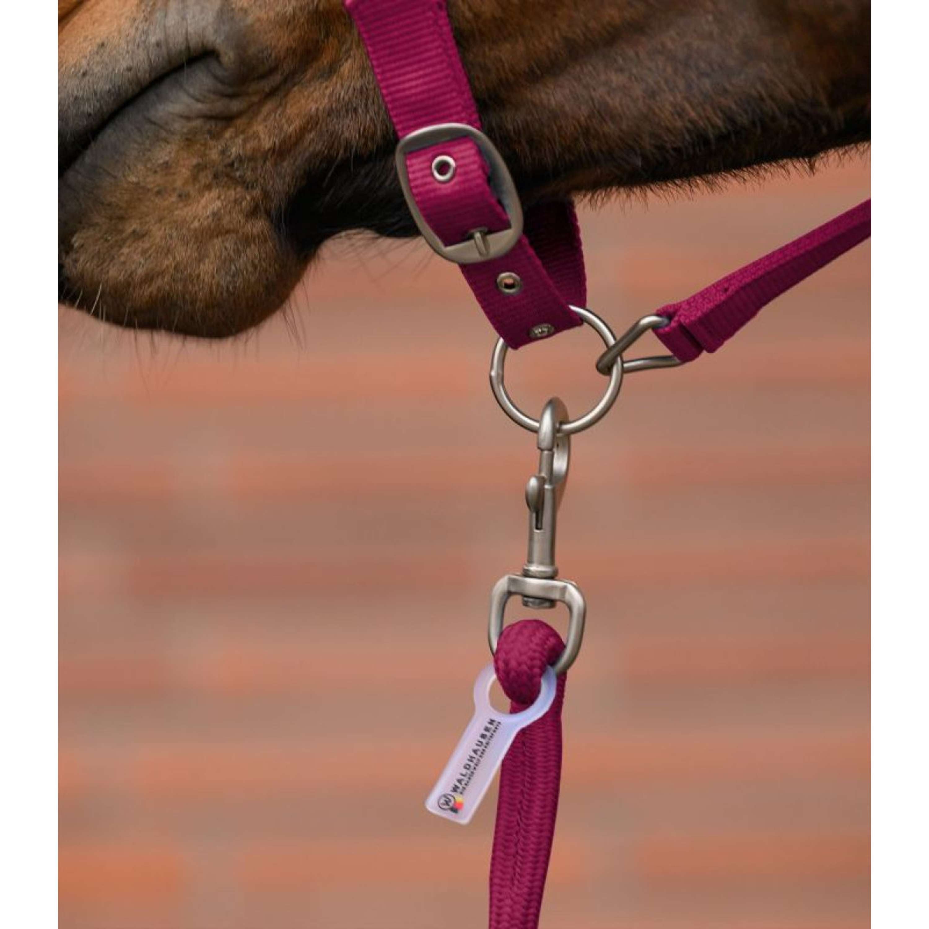 Waldhausen Halter Set Velvet Pomegranate