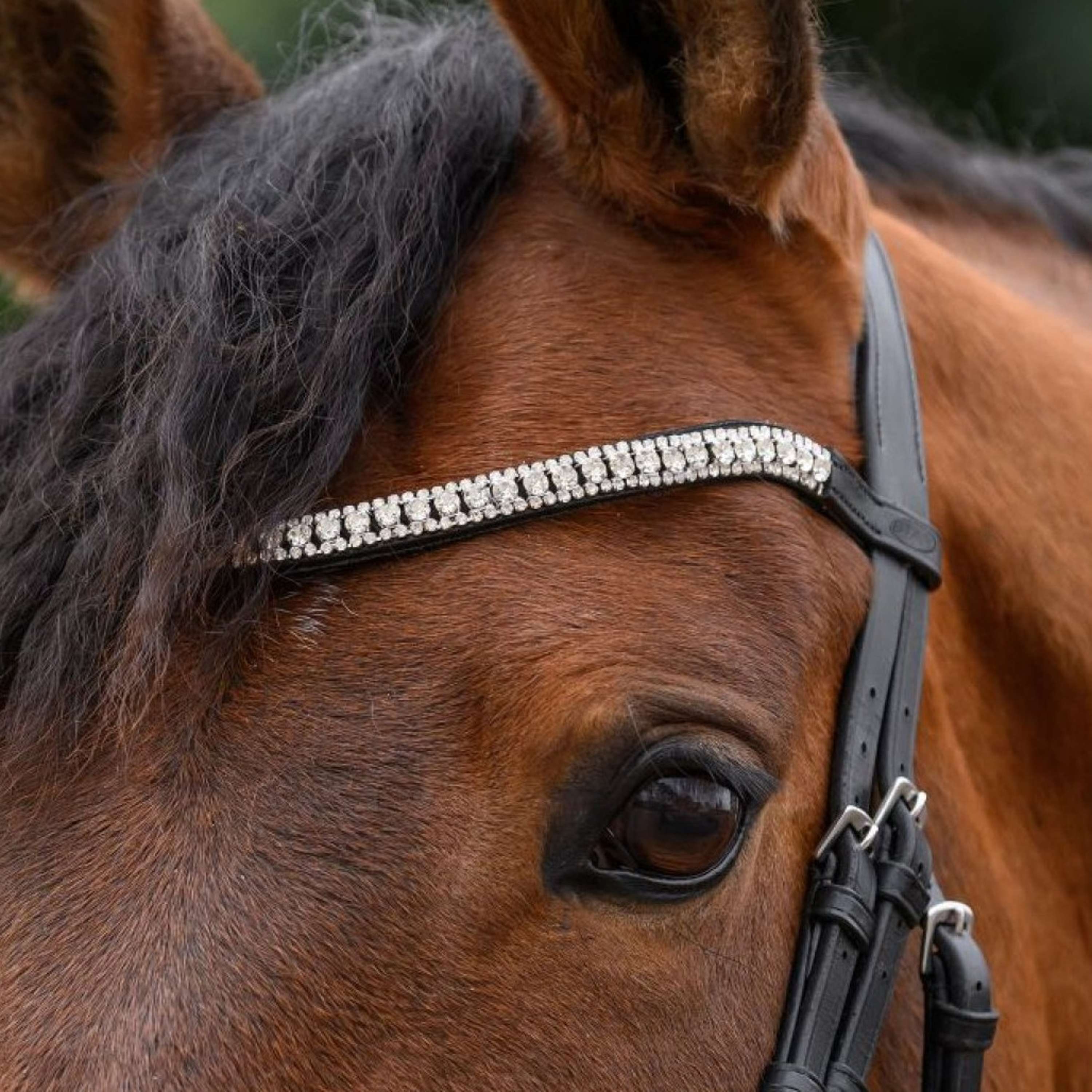 STAR Browband  Glitter Silver
