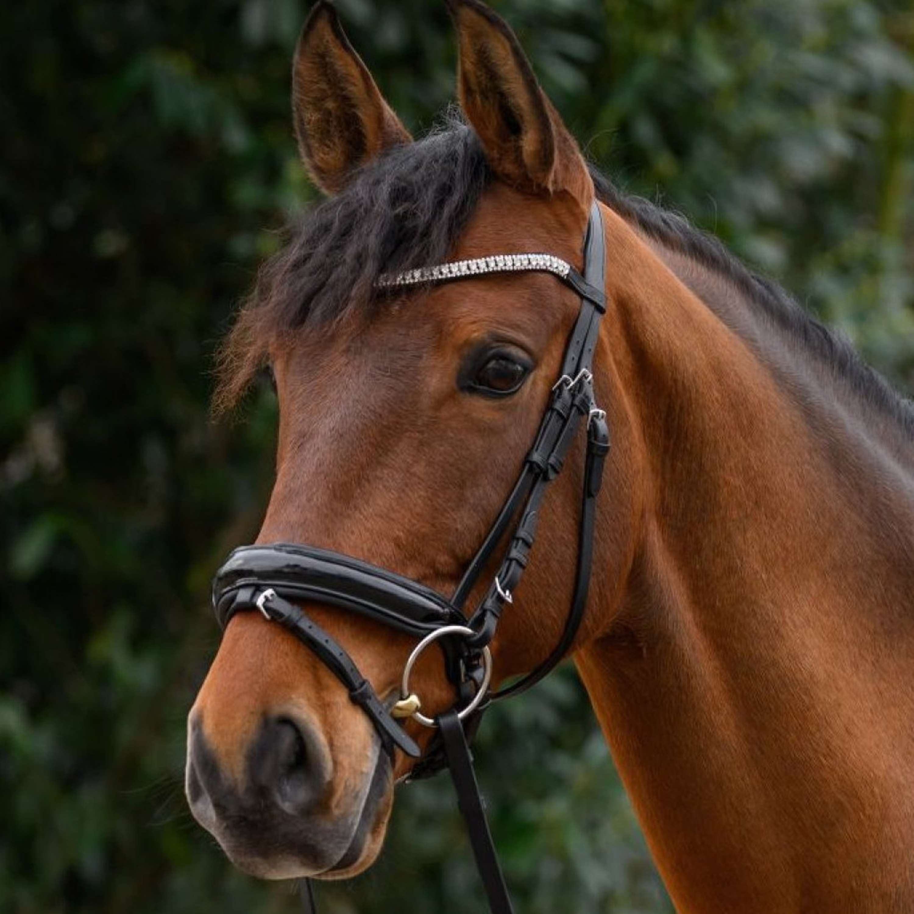 STAR Browband  Glitter Silver