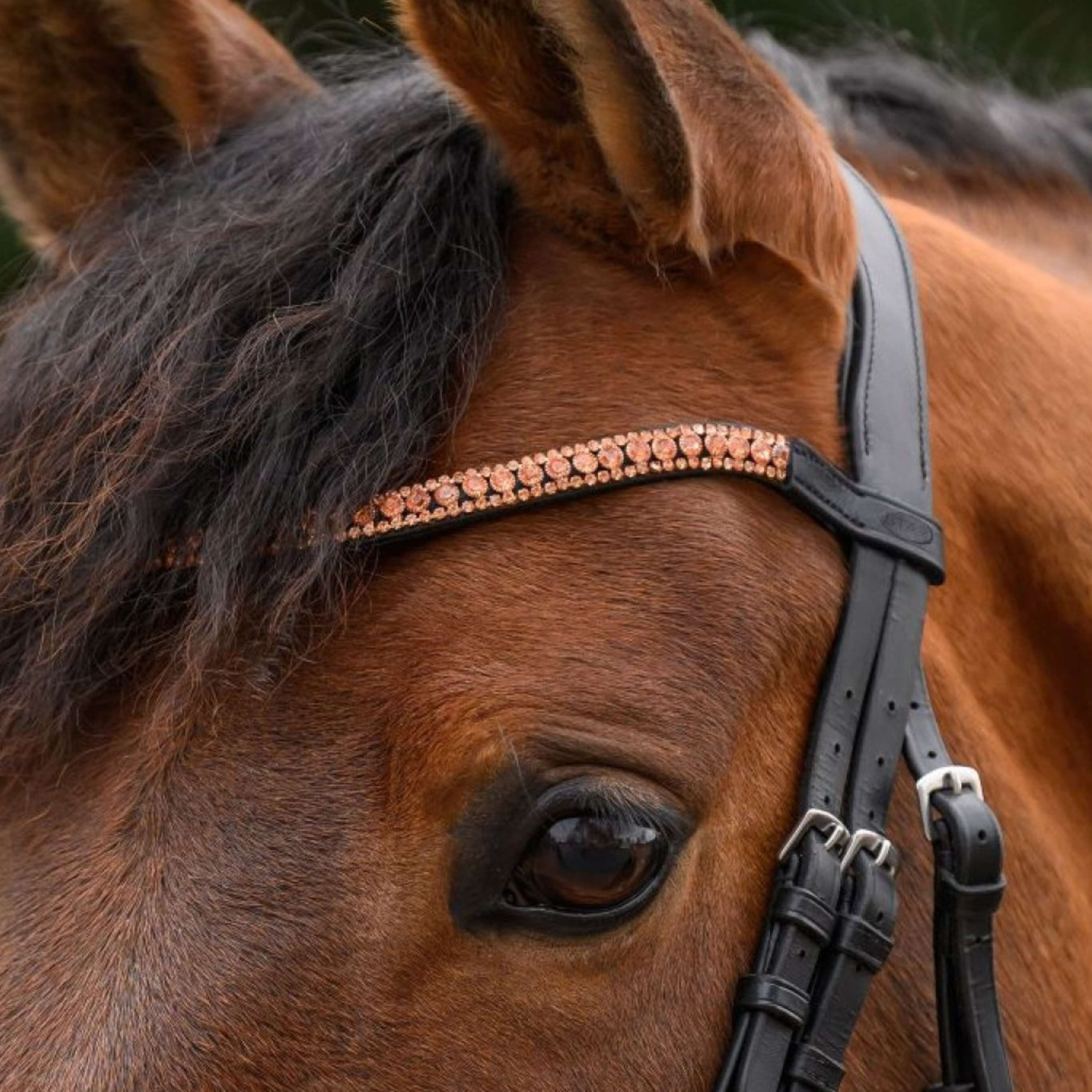 STAR Browband Glitter Rose Gold