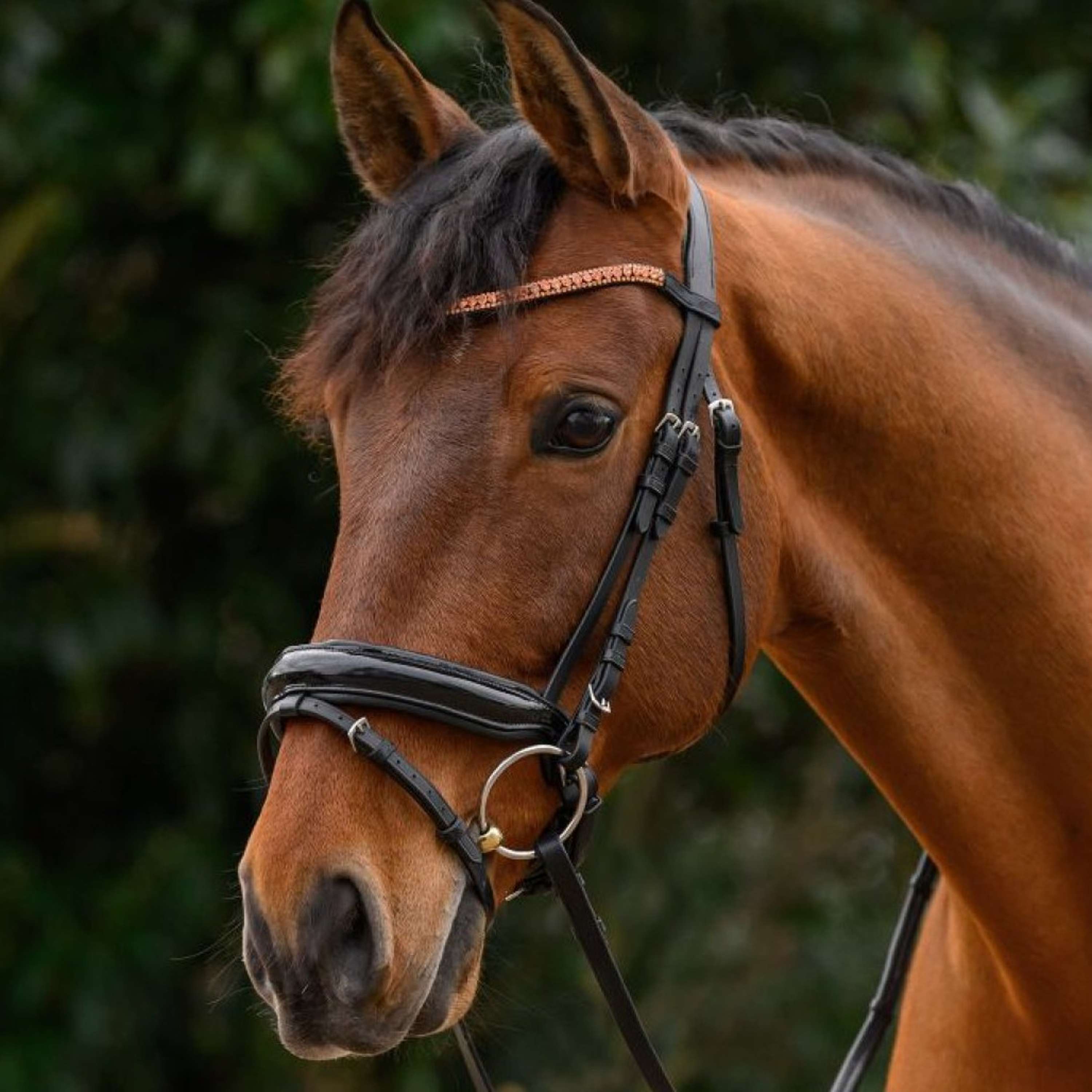 STAR Browband Glitter Rose Gold