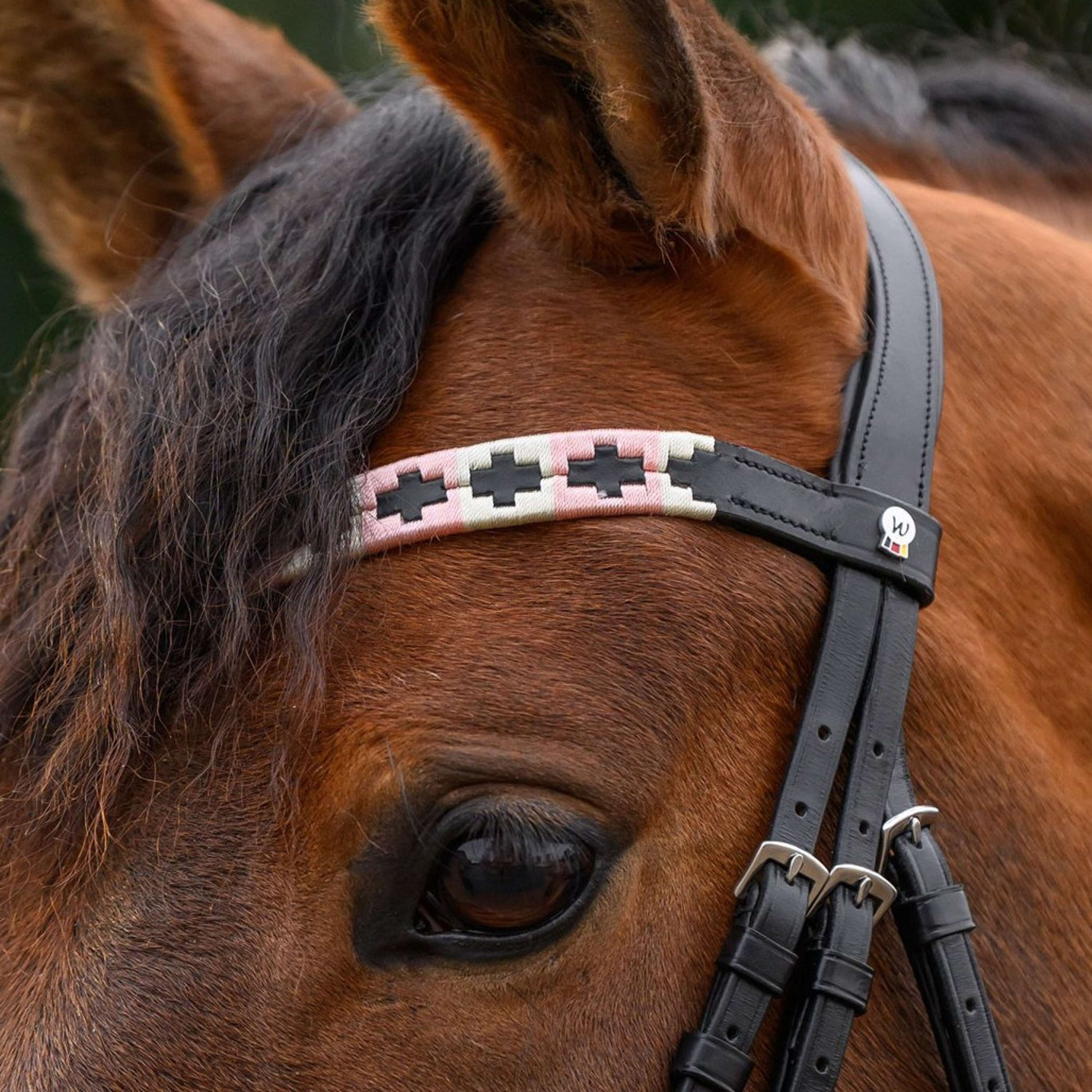 Waldhausen Browband X-Line Polo Black/Pink/Beige
