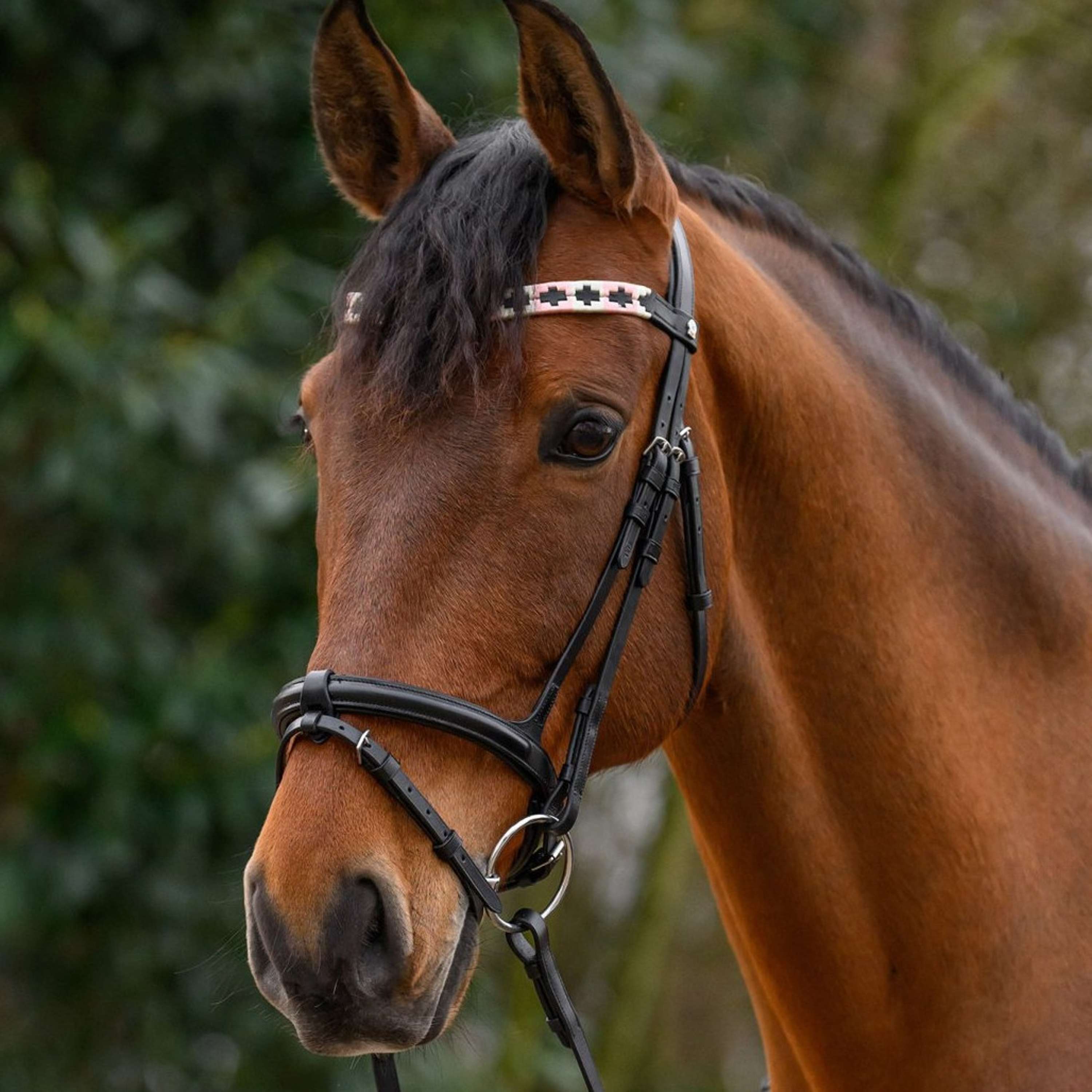 Waldhausen Browband X-Line Polo Black/Pink/Beige