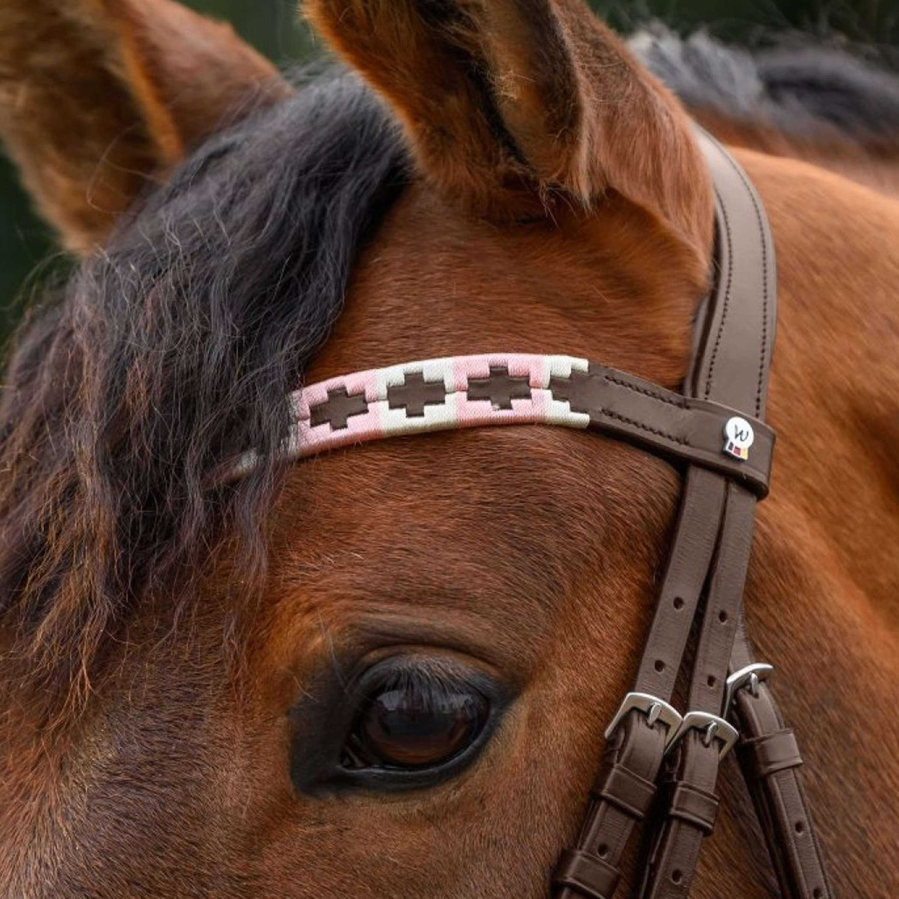 Waldhausen Browband X-Line Polo Brown/Pink/Beige