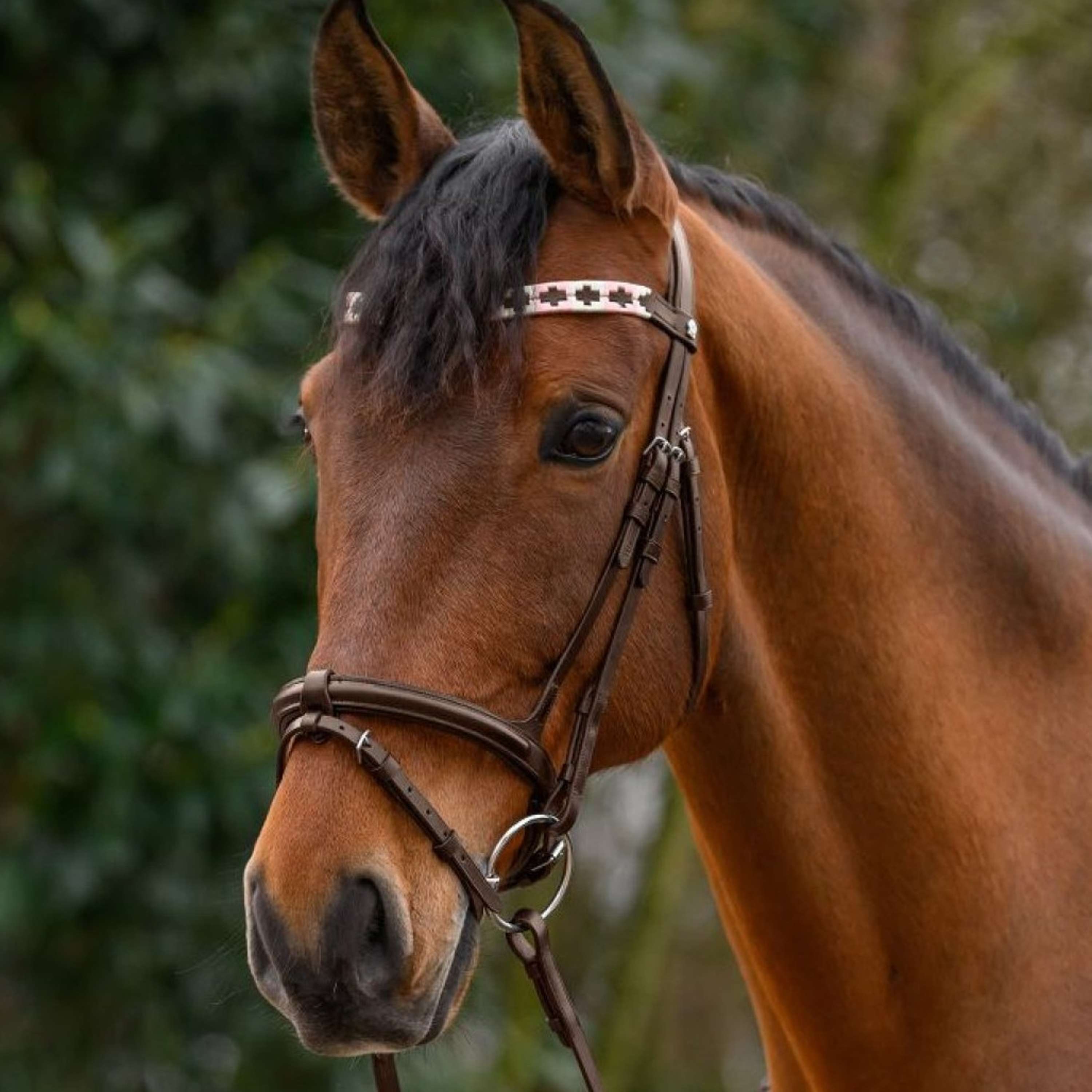 Waldhausen Browband X-Line Polo Brown/Pink/Beige