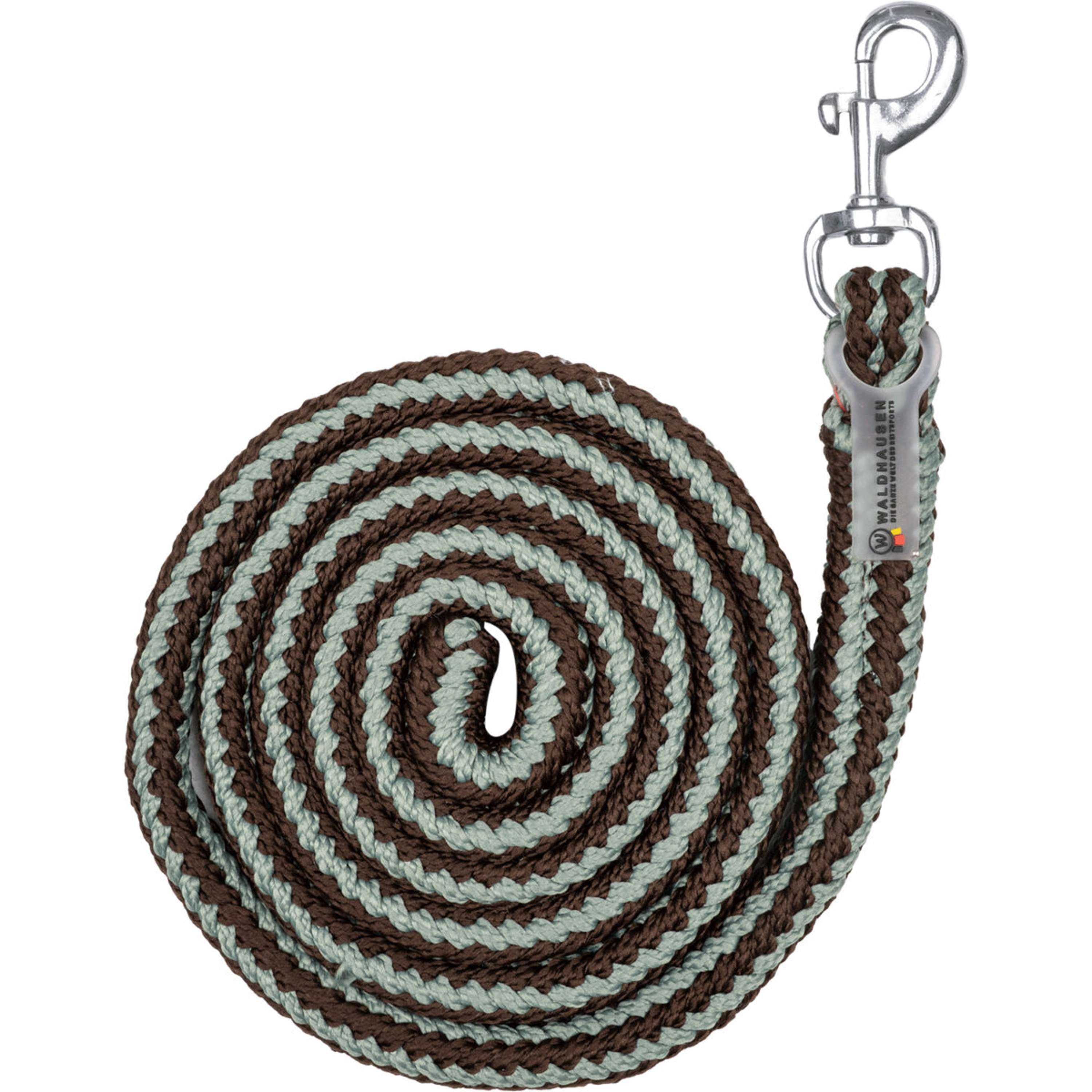 Waldhausen Lead Rope Plus with Carabiner Espresso/Sage