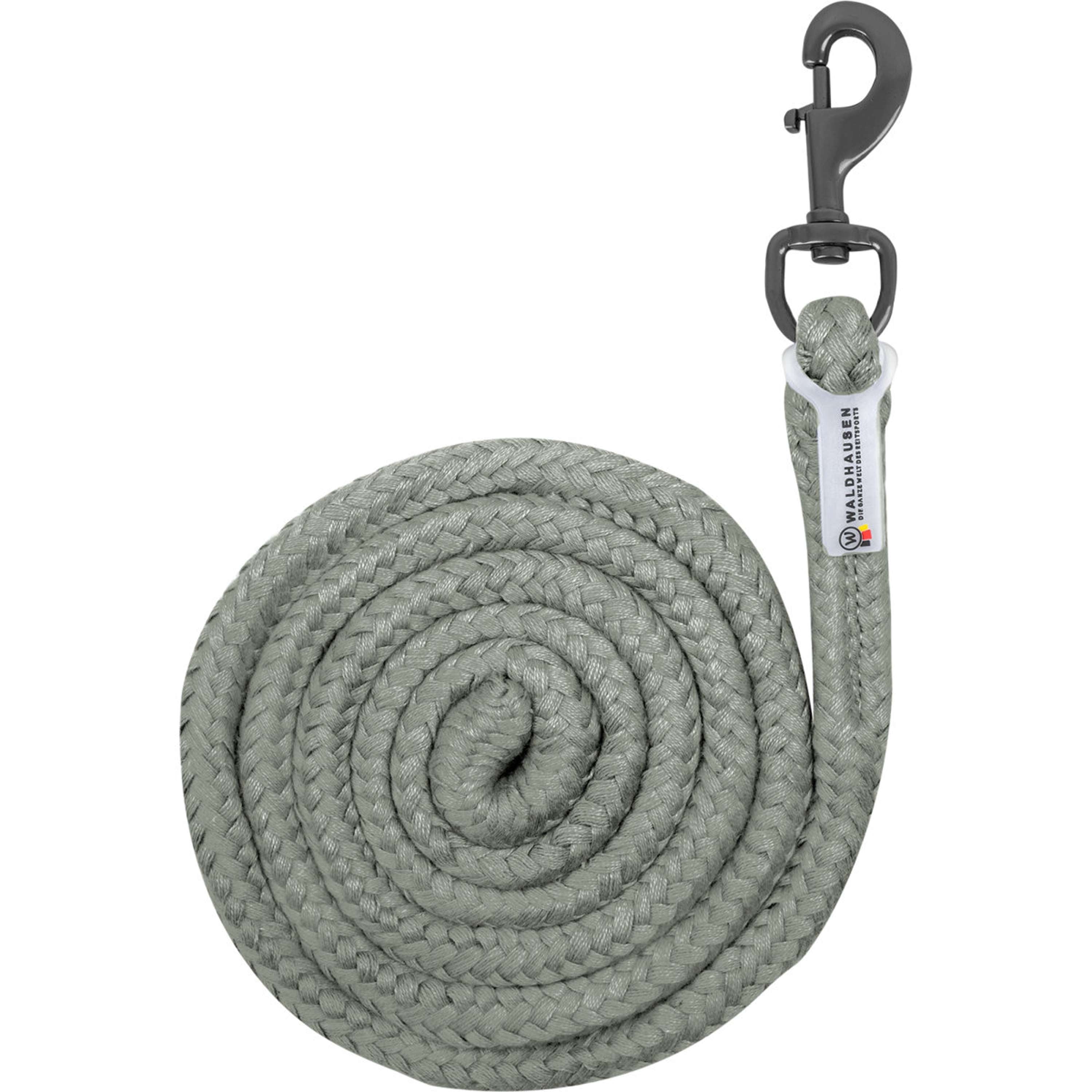 Waldhausen Lead Rope Plus with Carabiner Sage