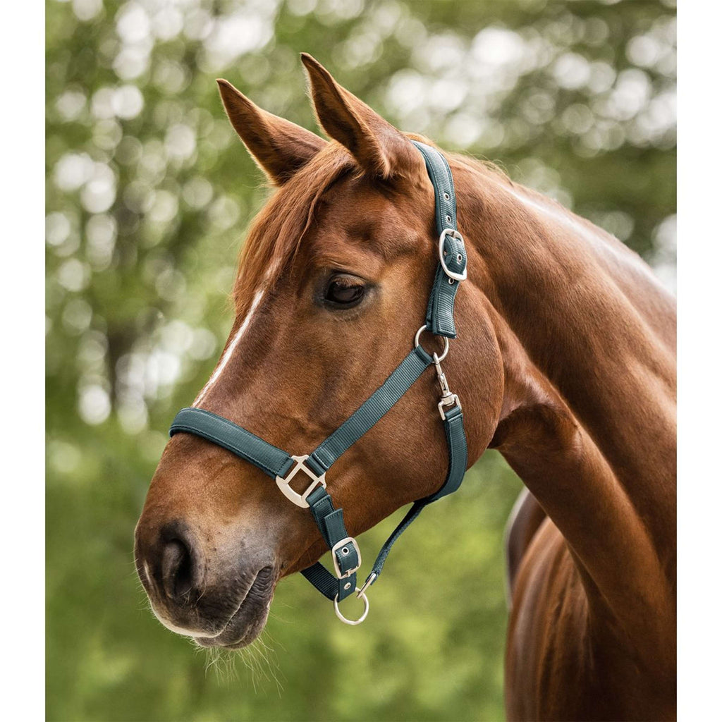 Waldhausen Halter Satin Pine Green