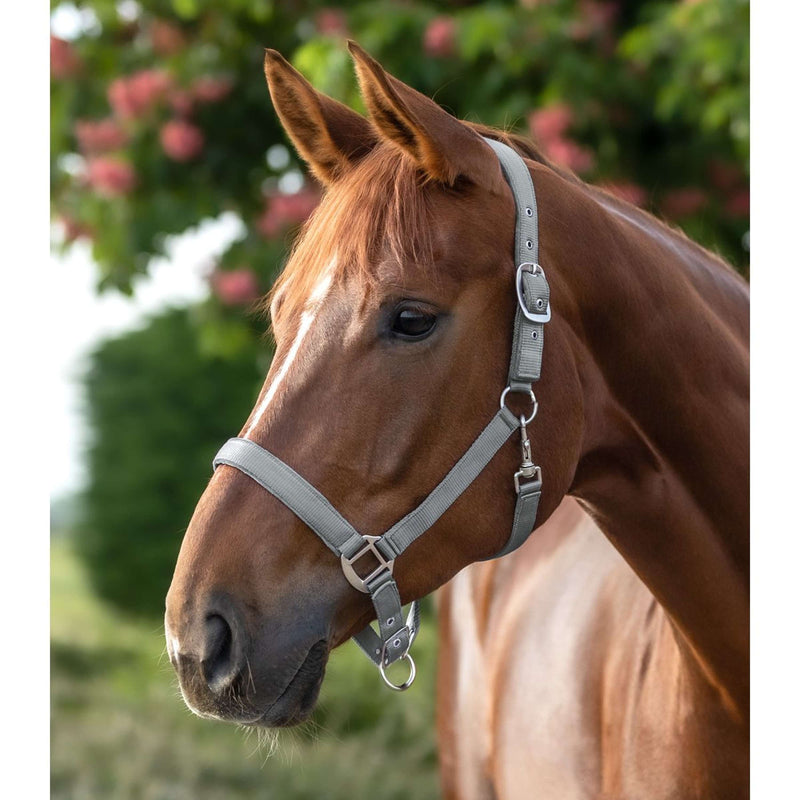 Waldhausen Halter Satin Chrome Grey