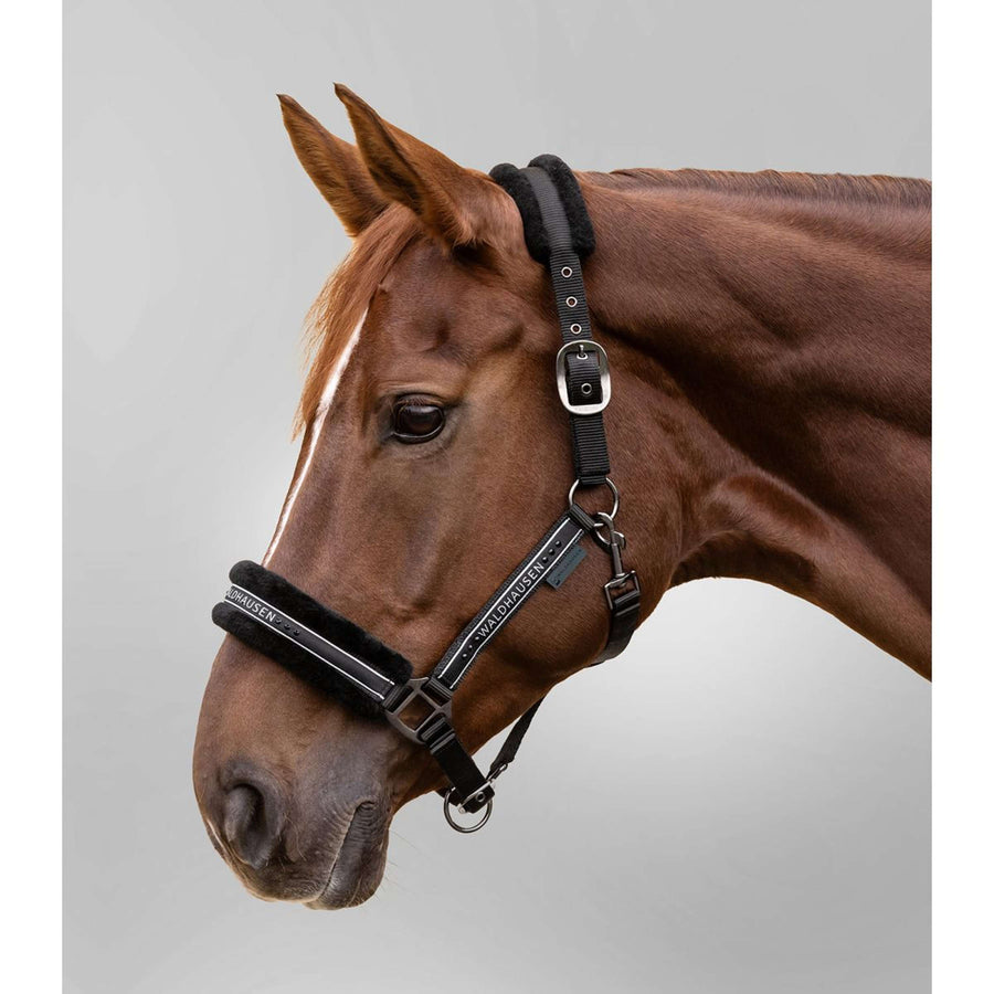 Waldhausen Halter Elegant Black/Black