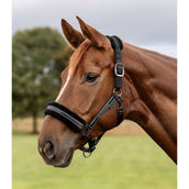 Waldhausen Halter Elegant Black/Black