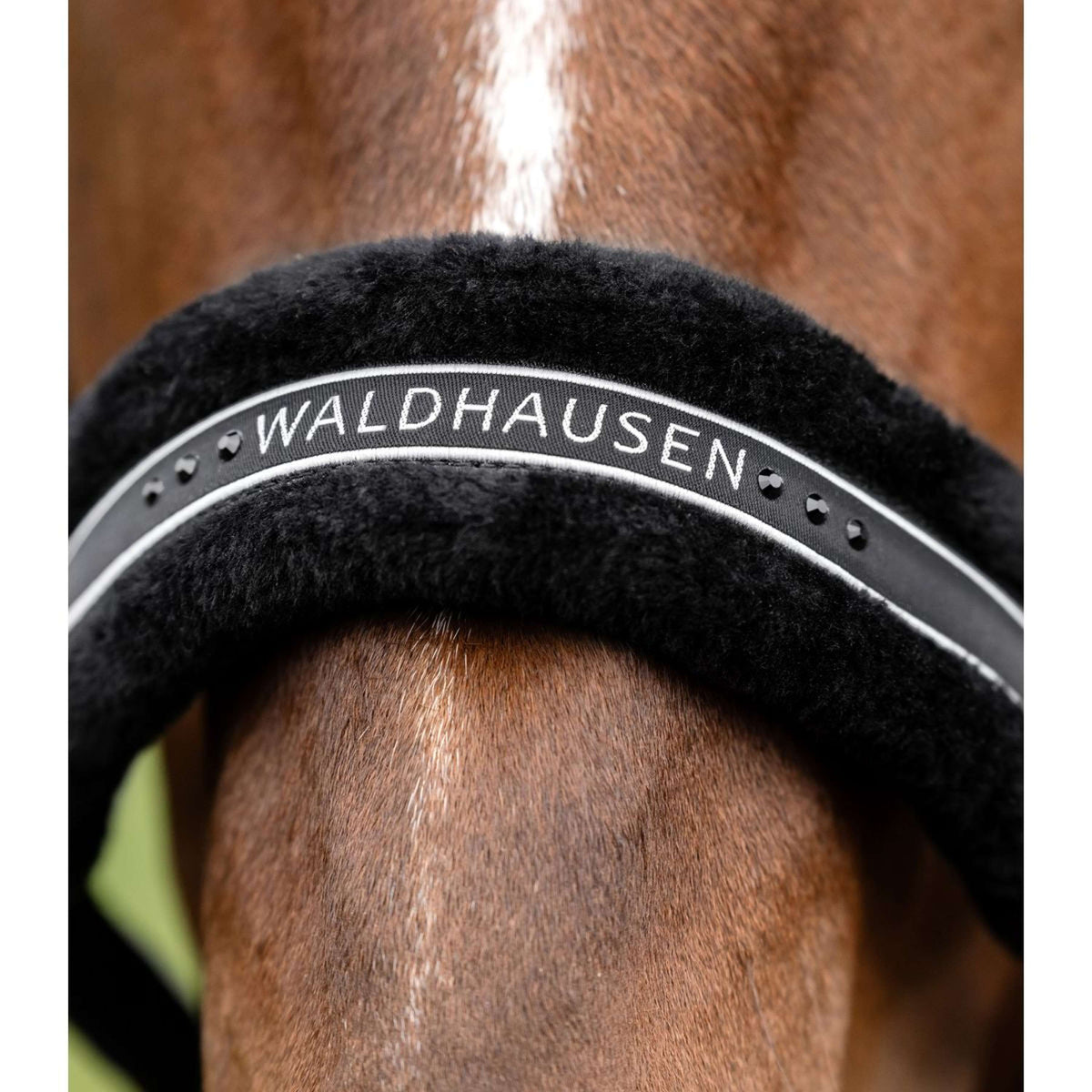 Waldhausen Halter Elegant Black/Black
