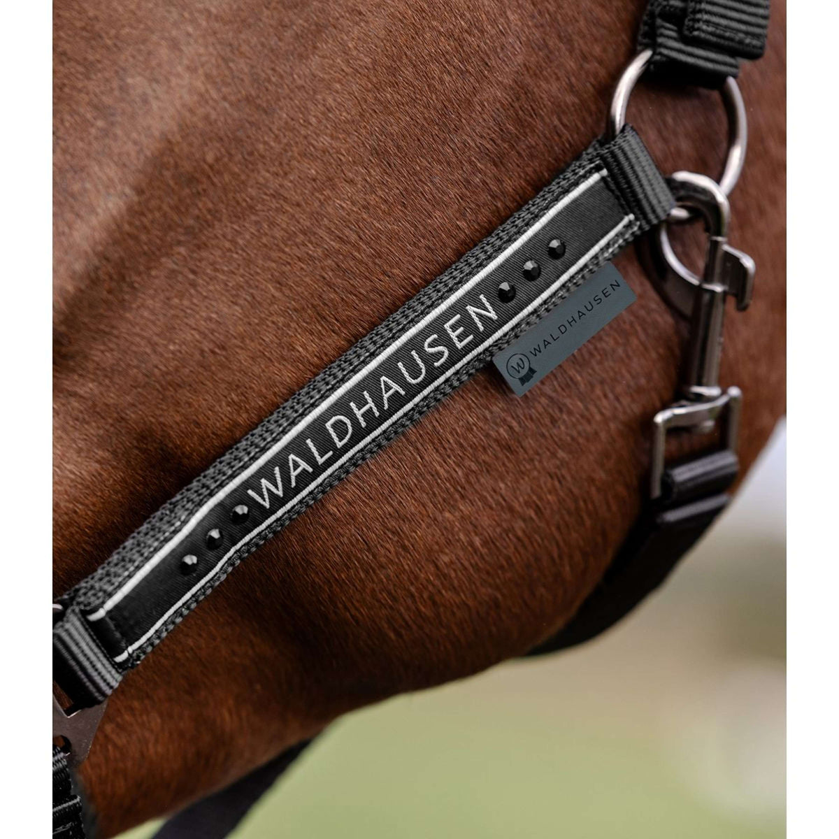 Waldhausen Halter Elegant Black/Black