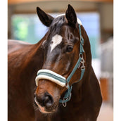 Waldhausen Halter Elegant Pine Green