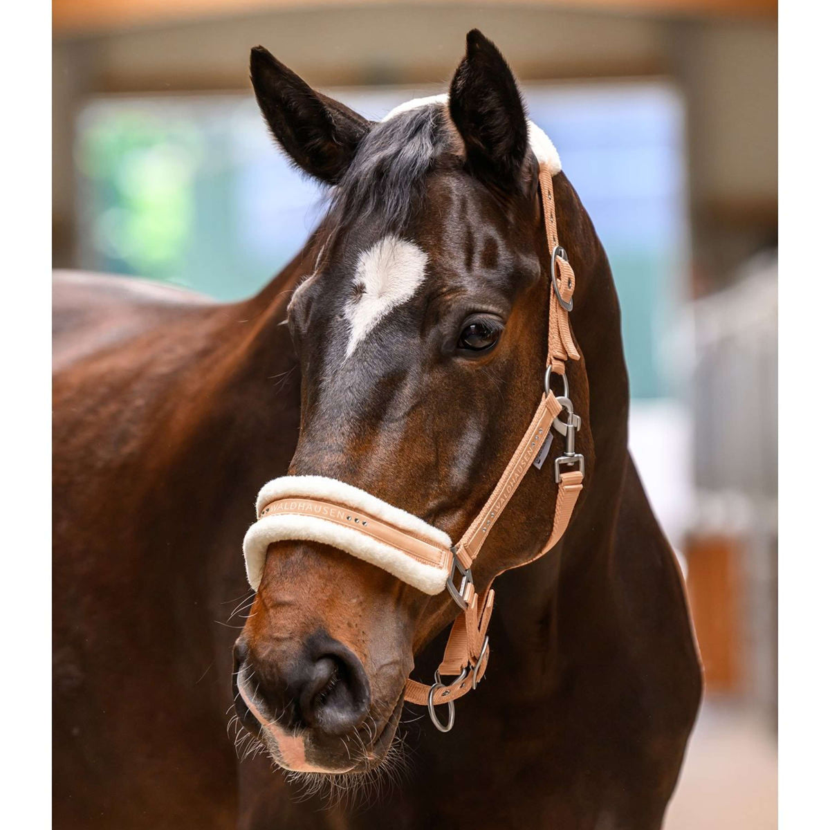 Waldhausen Halter Elegant Peach