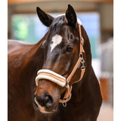 Waldhausen Halter Elegant Peach