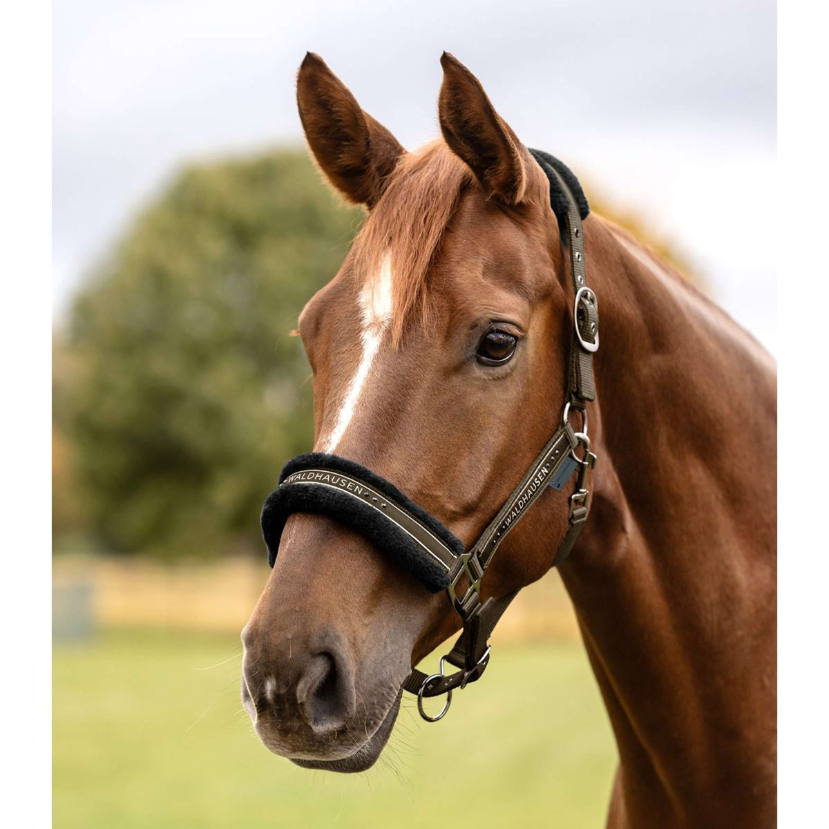 Waldhausen Halter Elegant Green/Brown