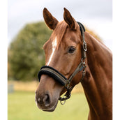 Waldhausen Halter Elegant Green/Brown