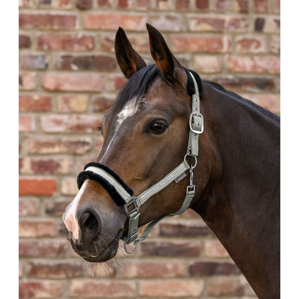 Waldhausen Halter Elegant Espresso