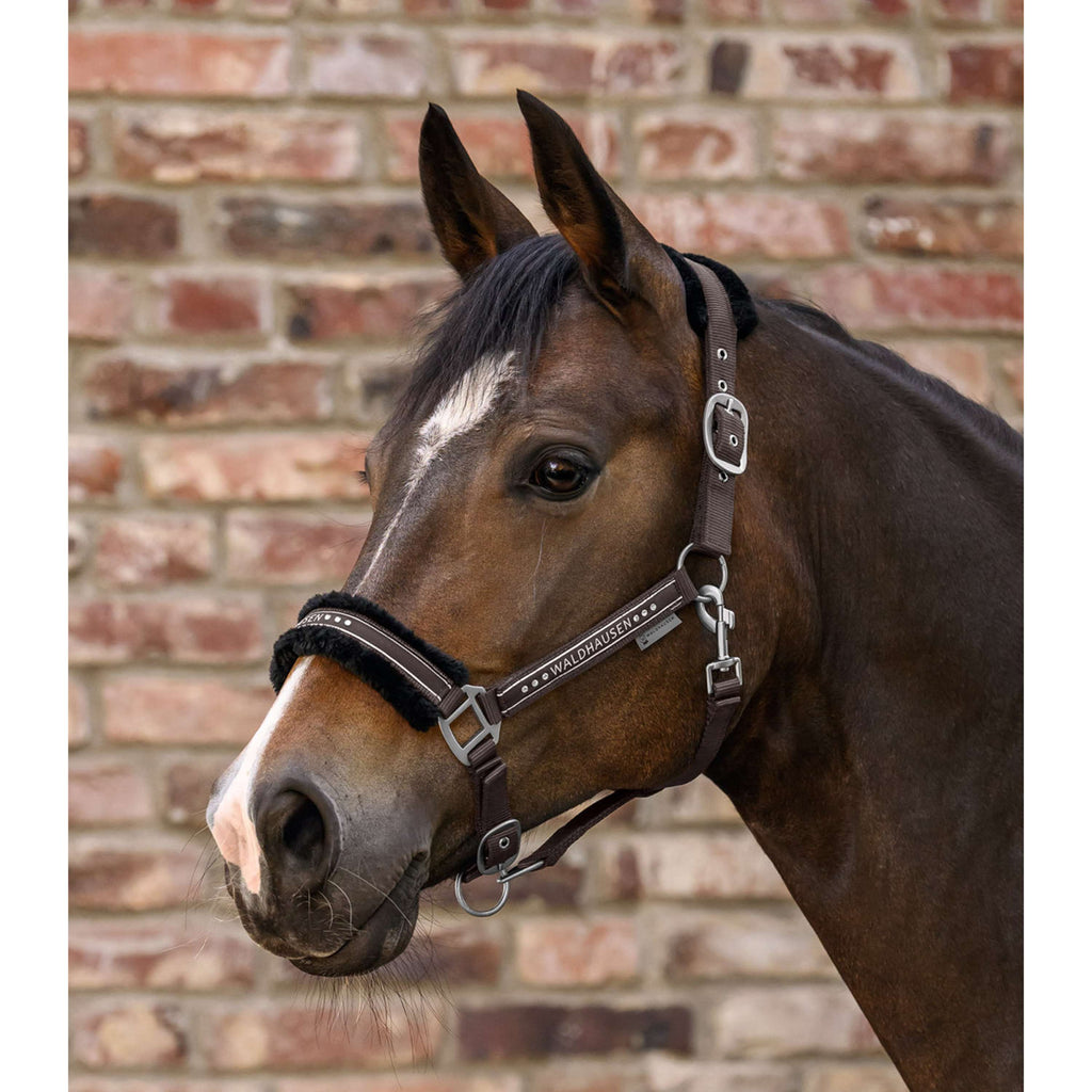 Waldhausen Halter Elegant Sage