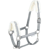 Waldhausen Halter Elegant Chrome Grey