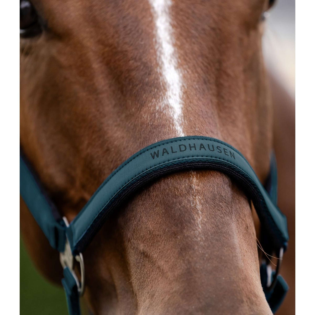 Waldhausen Halter Athletic Petrol Blue