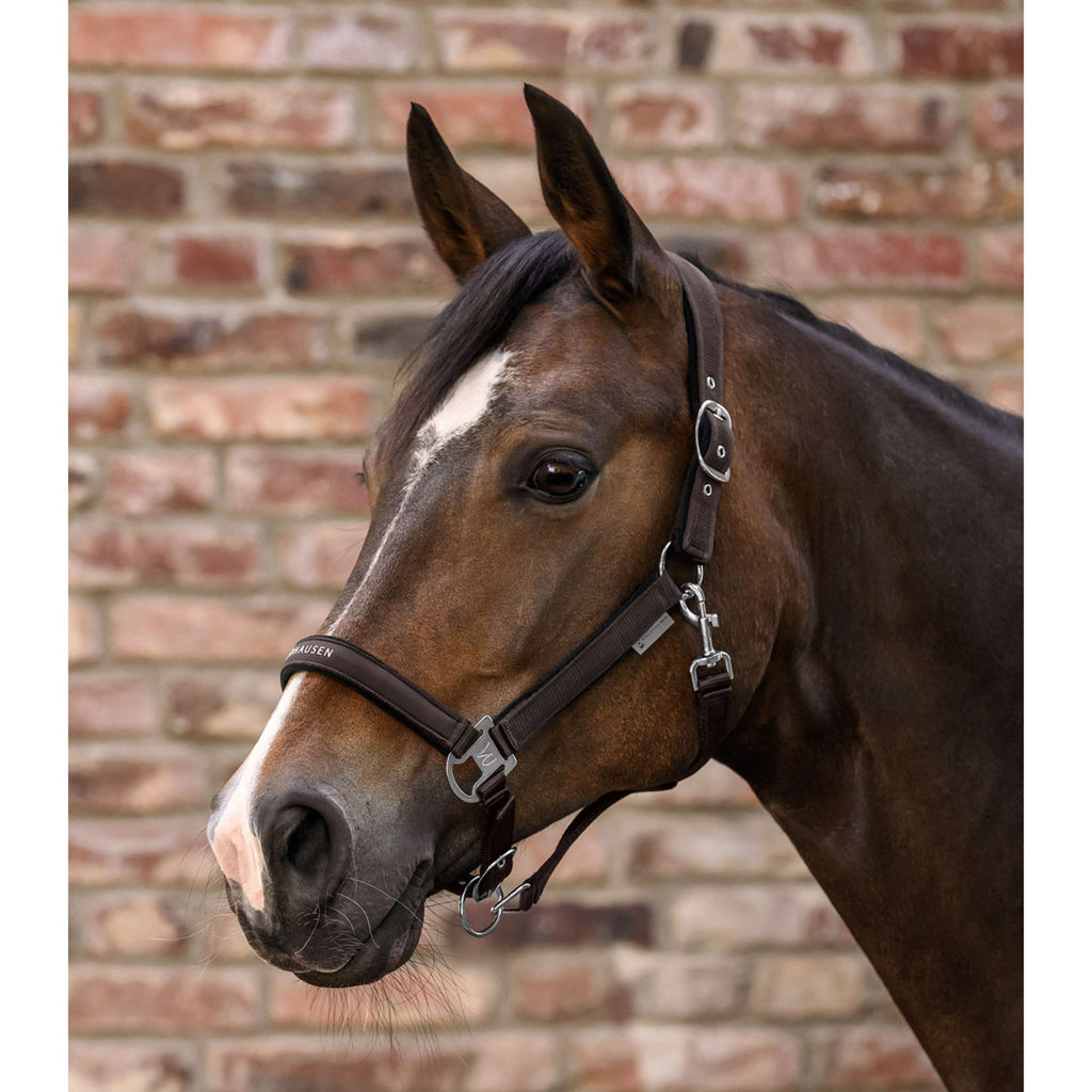 Waldhausen Halter Athletic Espresso