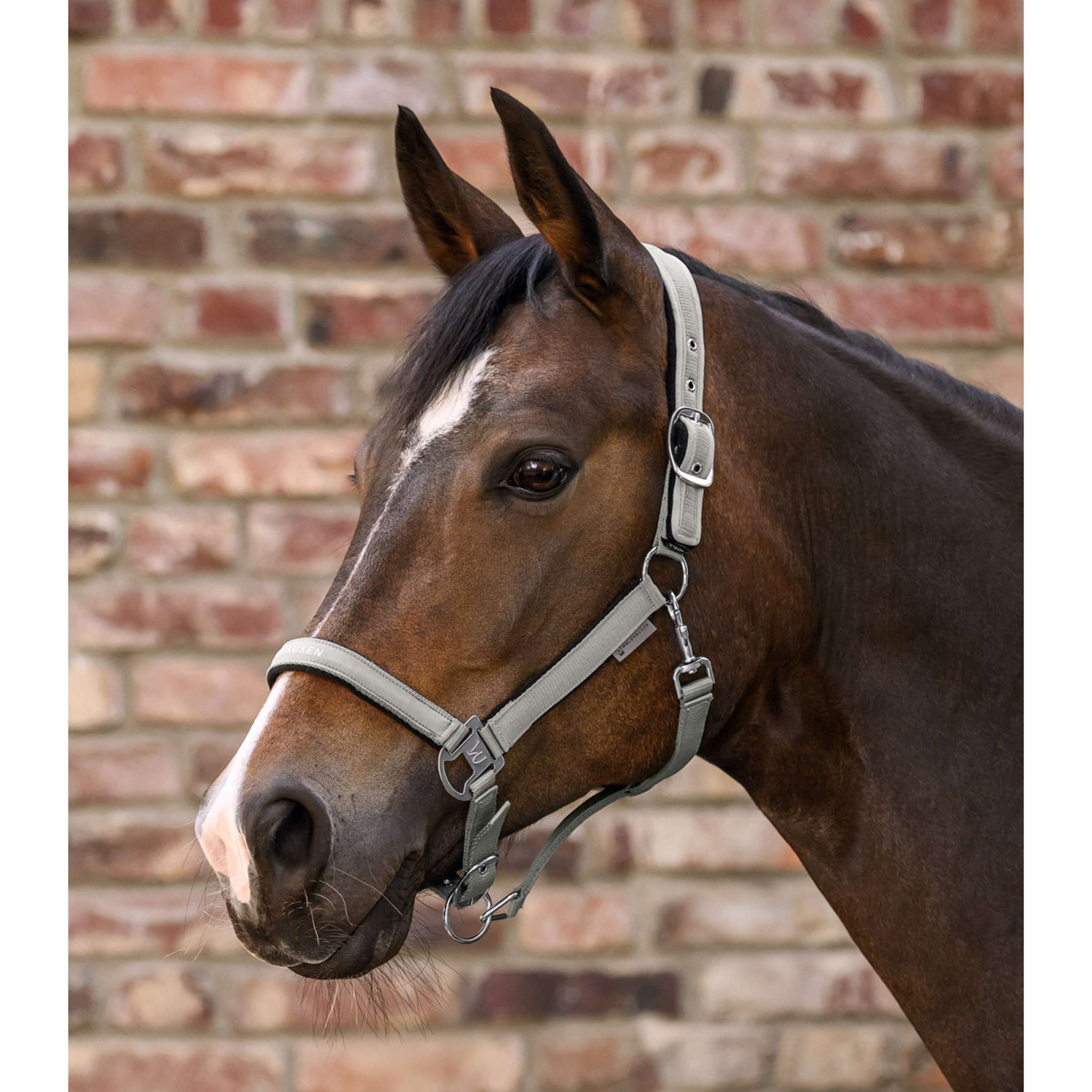 Waldhausen Halter Athletic Sage