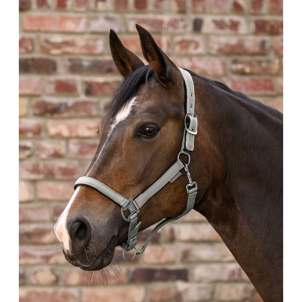Waldhausen Halter Athletic Sage