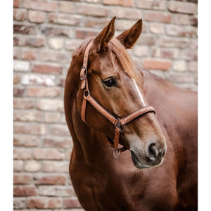 Waldhausen Halter Athlentic Cinnamon